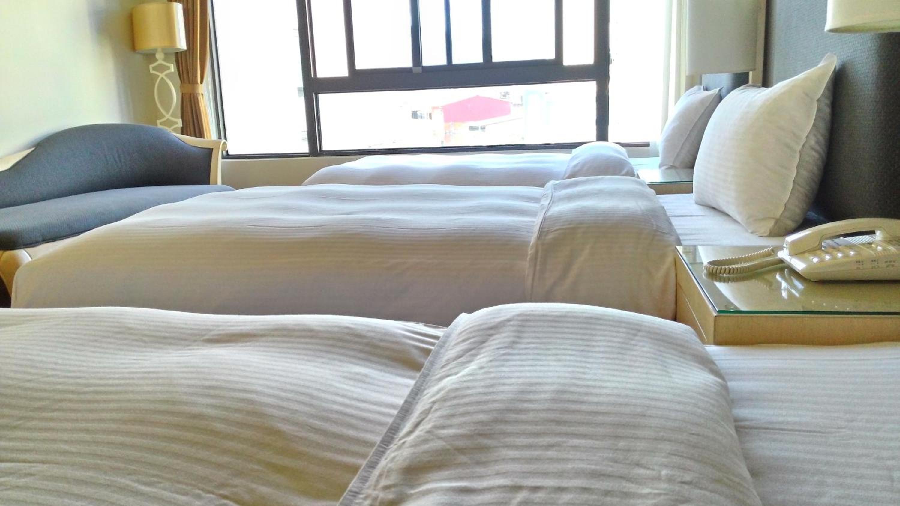 Hotel Modern Puli