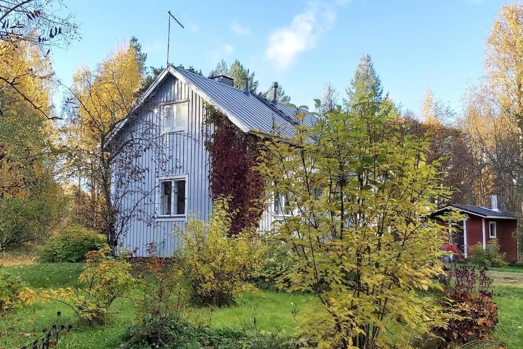 Villa Mäntysaari luonnonrauhaa kaupungin lähellä.