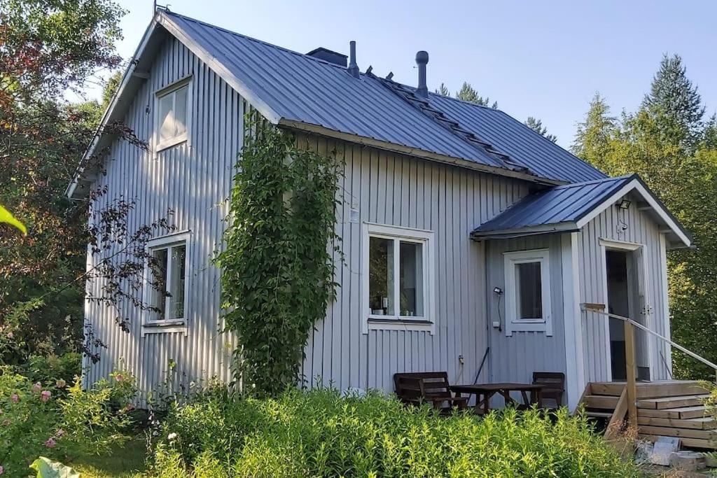 Villa Mäntysaari luonnonrauhaa kaupungin lähellä.