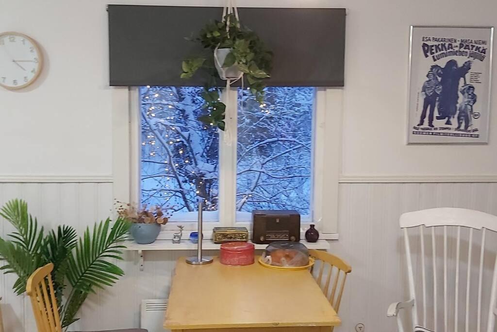Villa Mäntysaari luonnonrauhaa kaupungin lähellä.