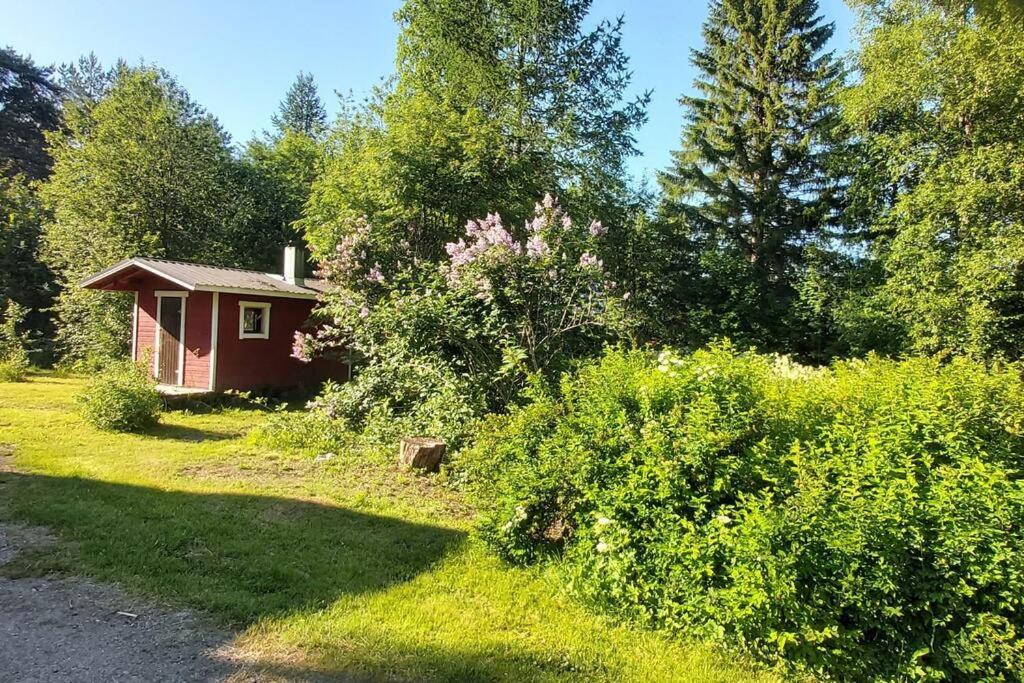 Villa Mäntysaari luonnonrauhaa kaupungin lähellä.
