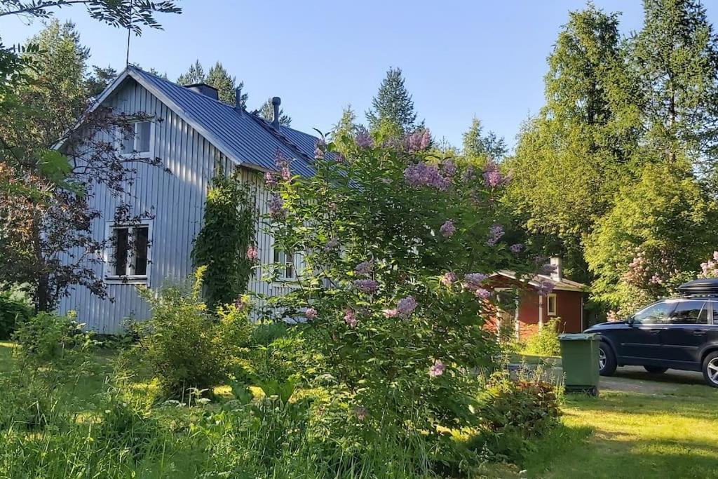 Villa Mäntysaari luonnonrauhaa kaupungin lähellä.