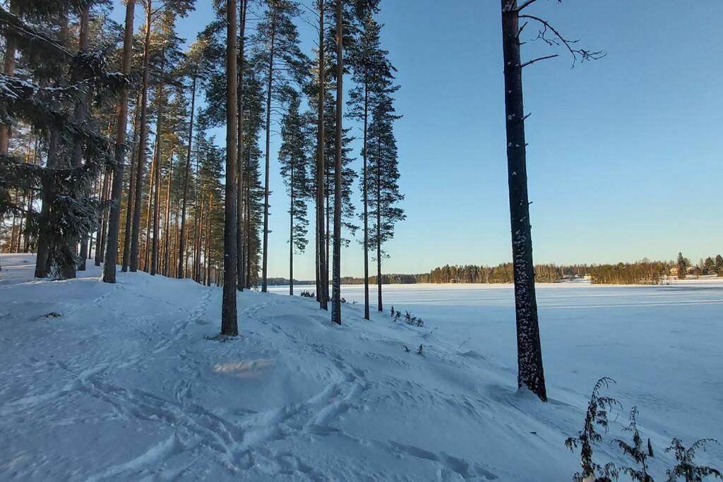 Villa Mäntysaari luonnonrauhaa kaupungin lähellä.