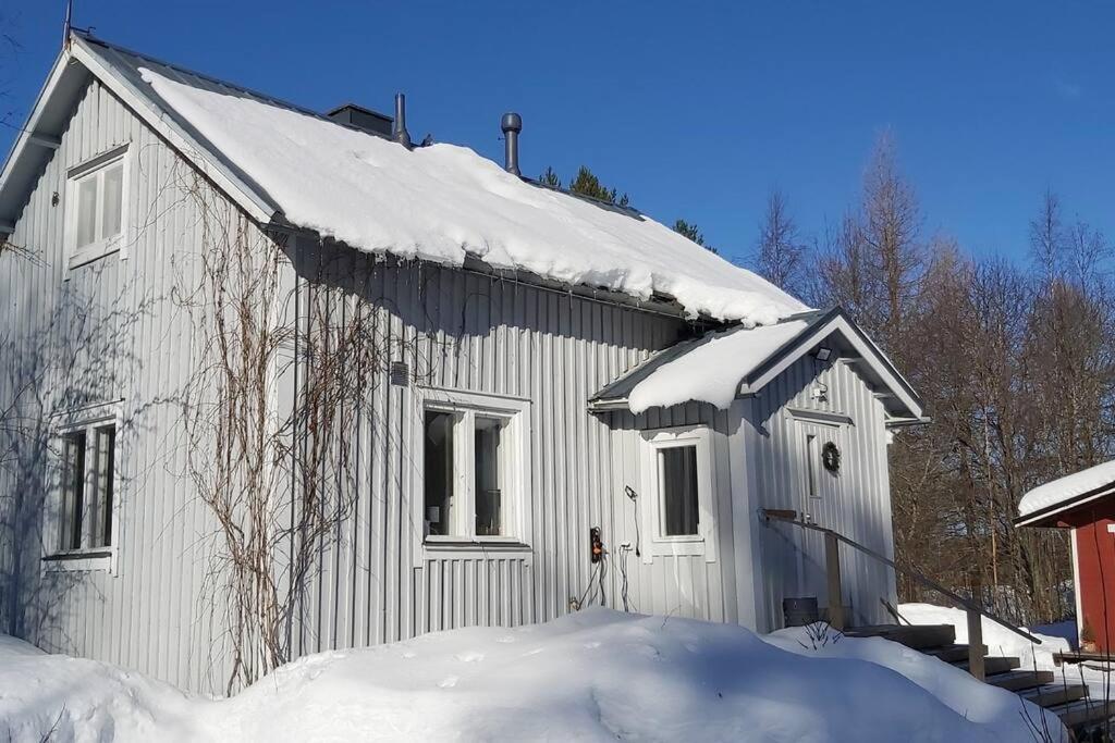 Villa Mäntysaari luonnonrauhaa kaupungin lähellä.