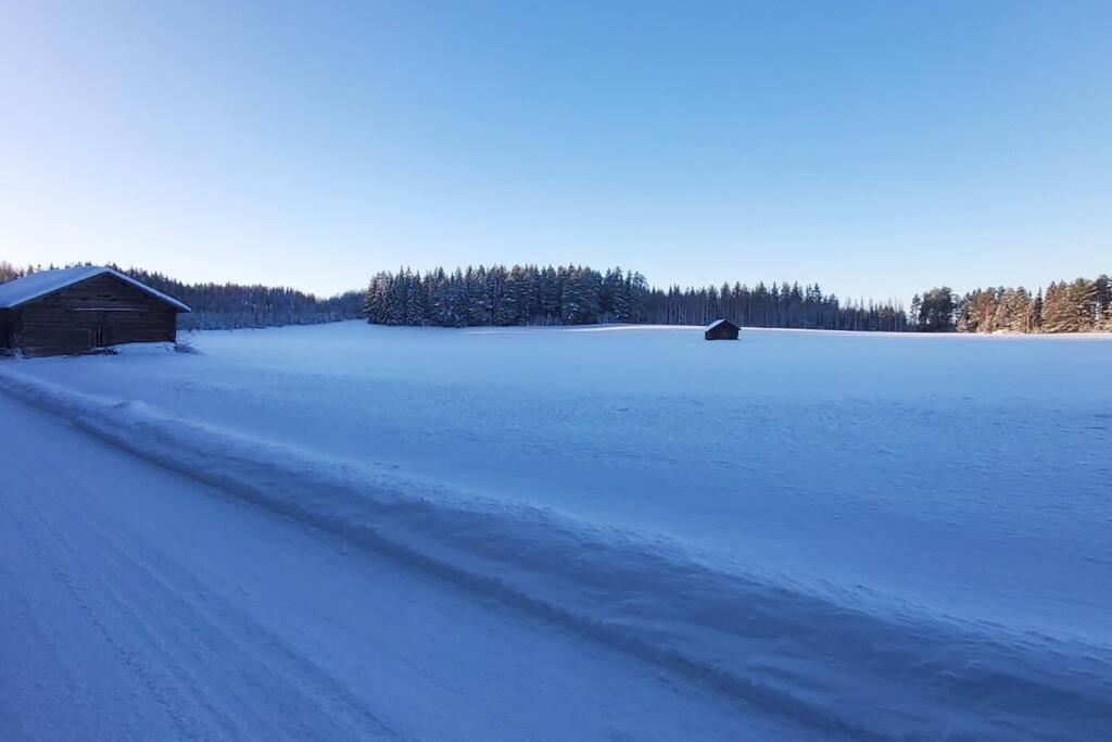 Villa Mäntysaari luonnonrauhaa kaupungin lähellä.