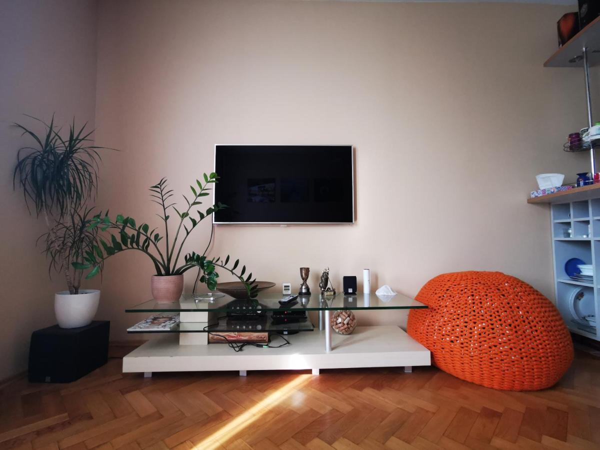 Super Spacious Apartment in Kaunas view 5