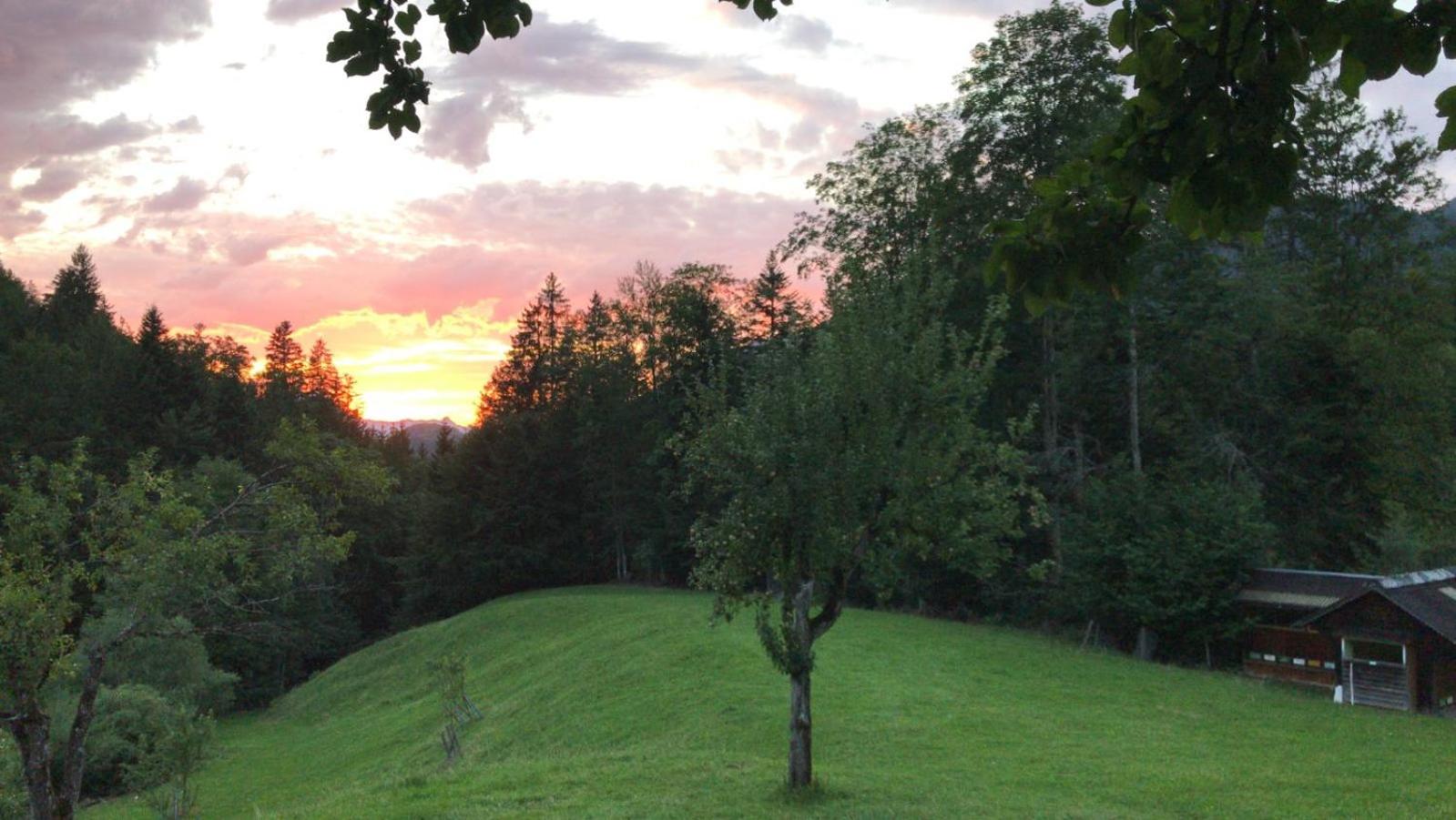 Mahdgut