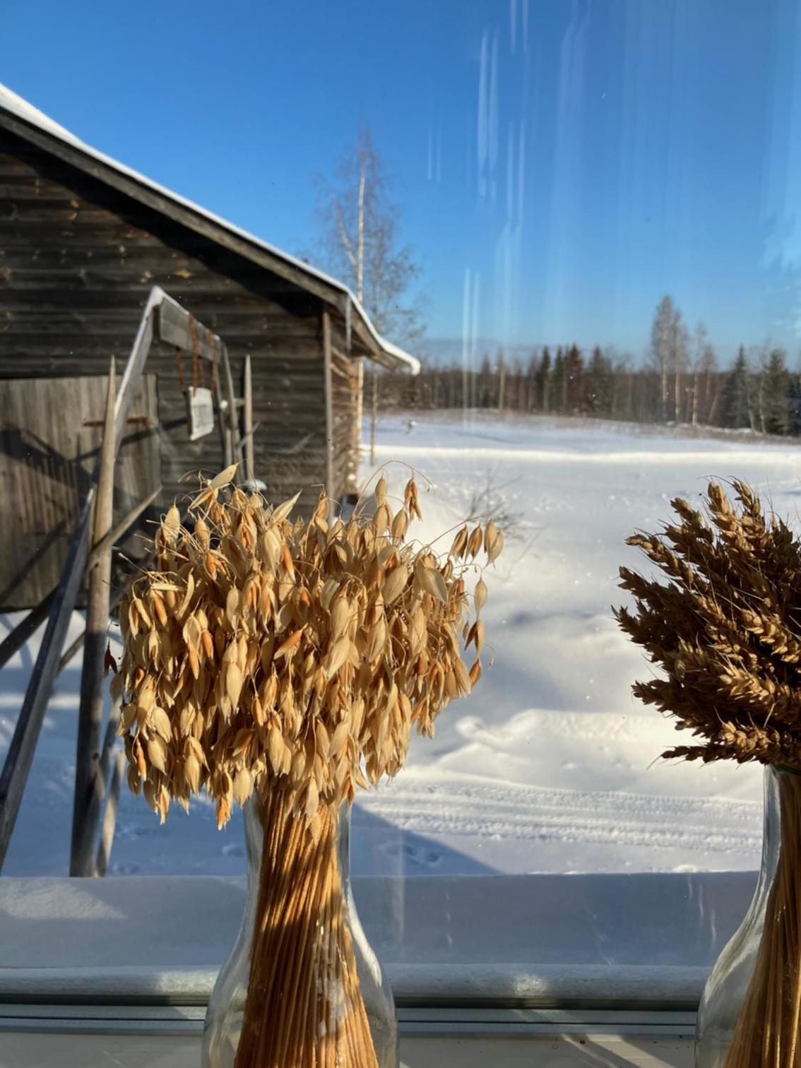Lamminmäen Juhla ja Peti