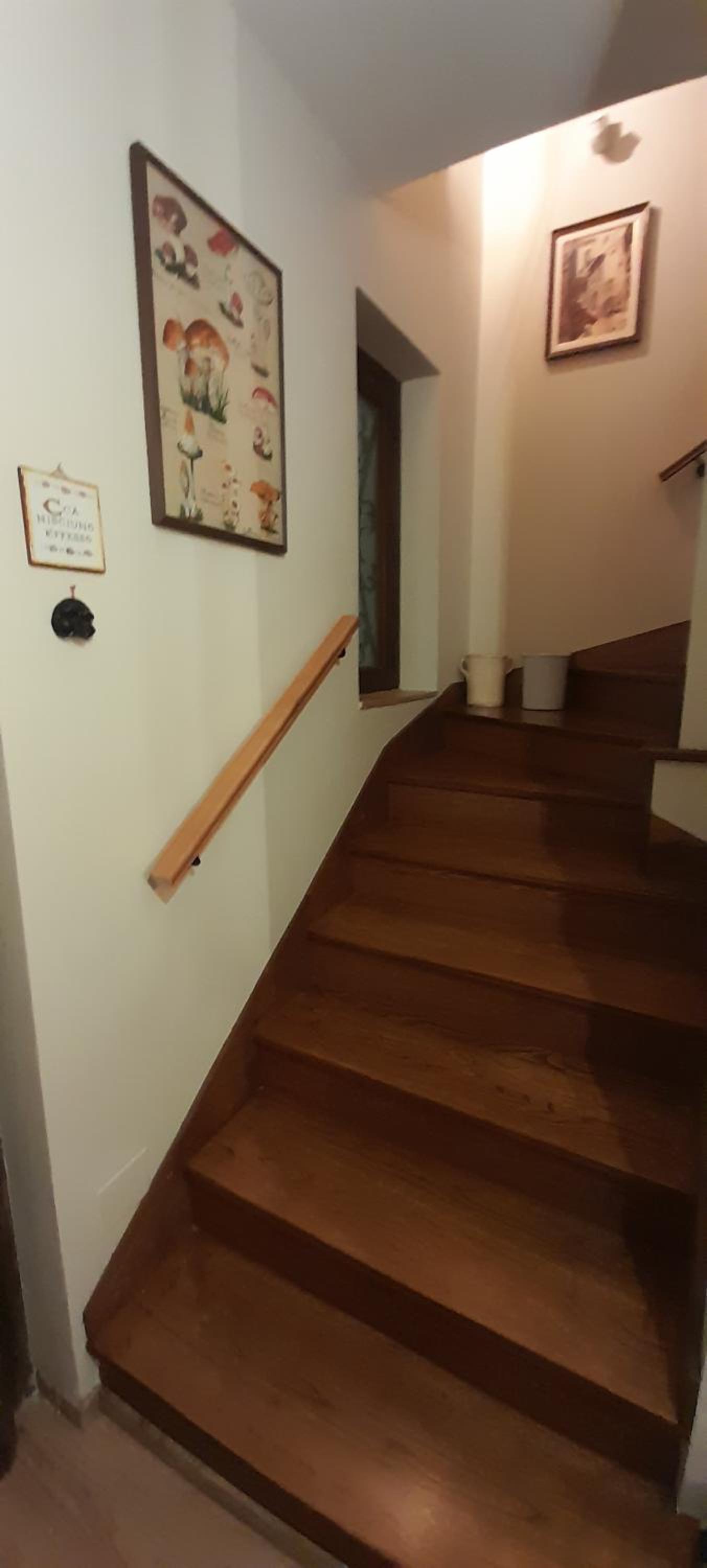 Photo 51