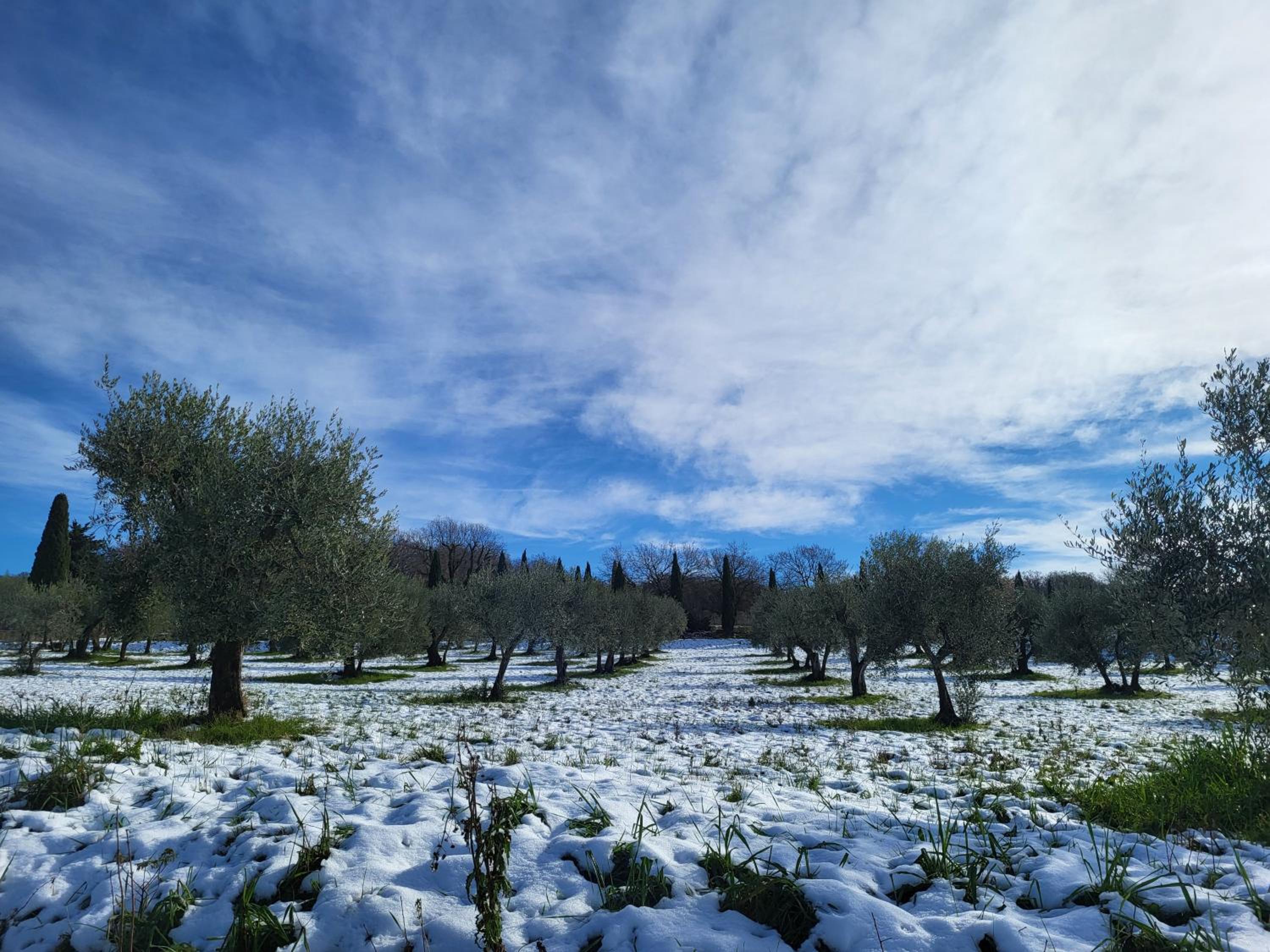Palazzetto del Pittore in San Quirico d'Orcia view 5