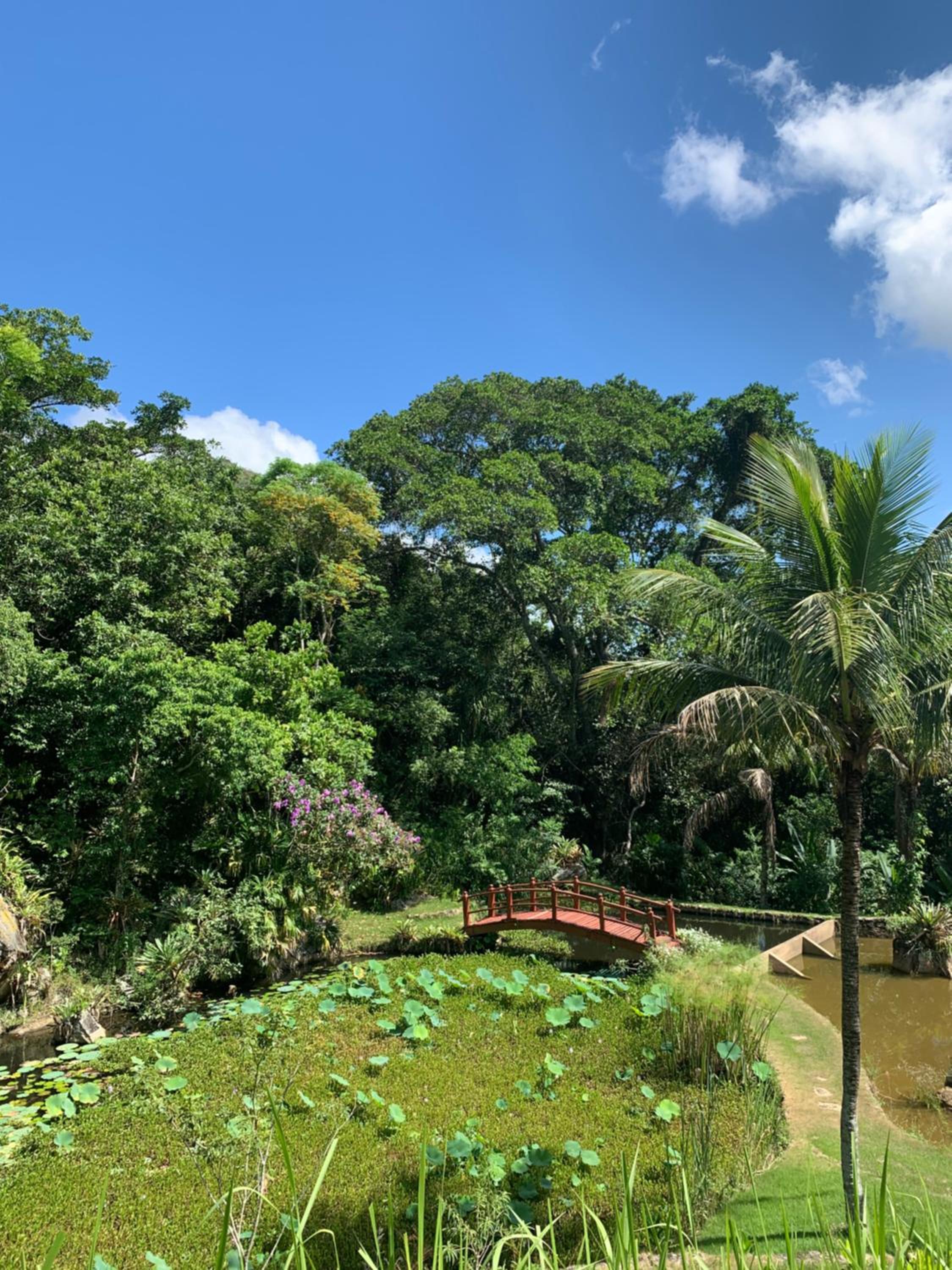 Guest House Tânia Alves