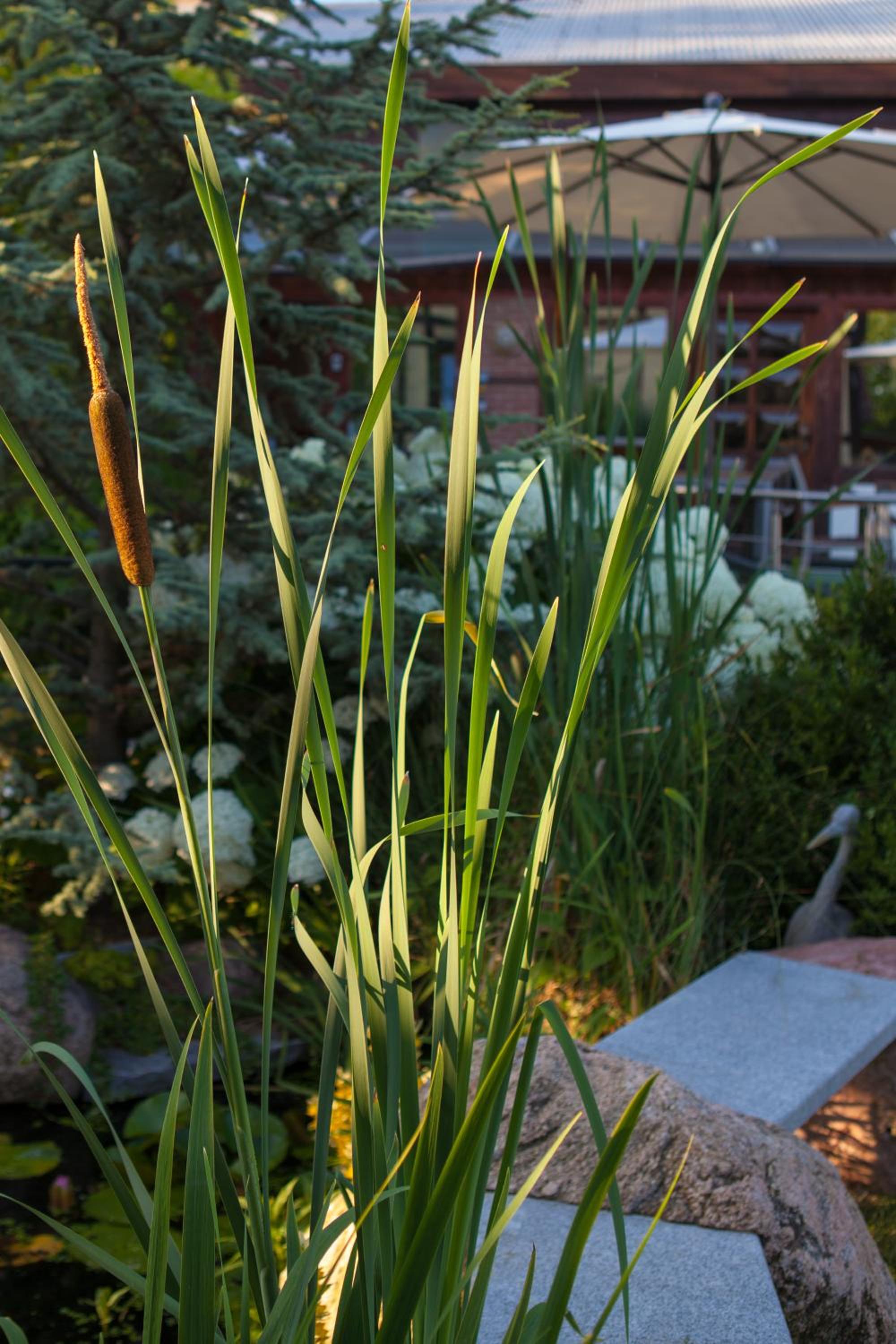 Hotel Blumenbach
