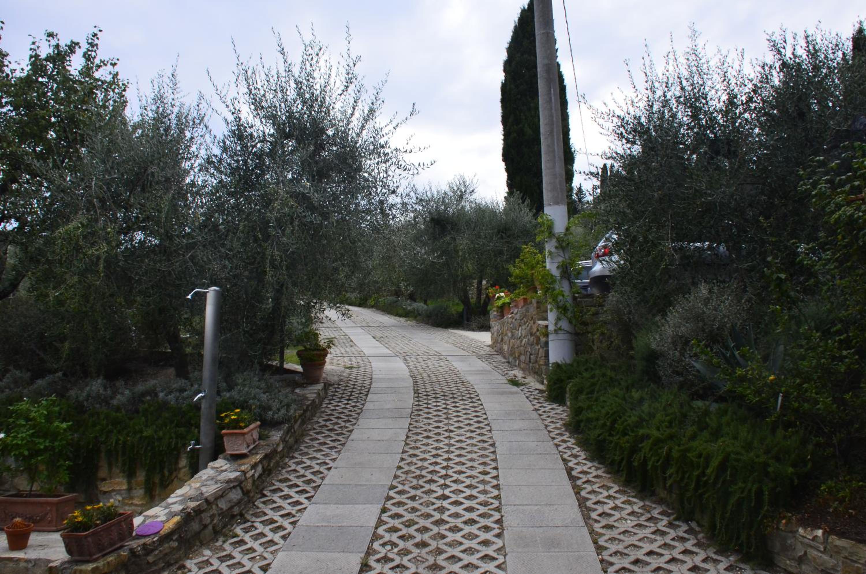 Photo 24
