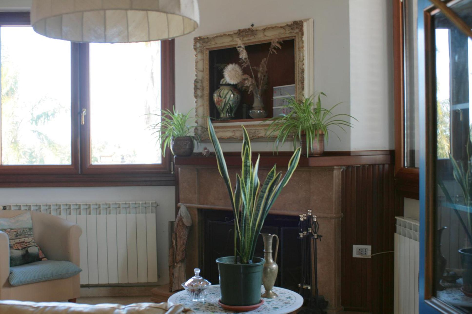 Photo 51