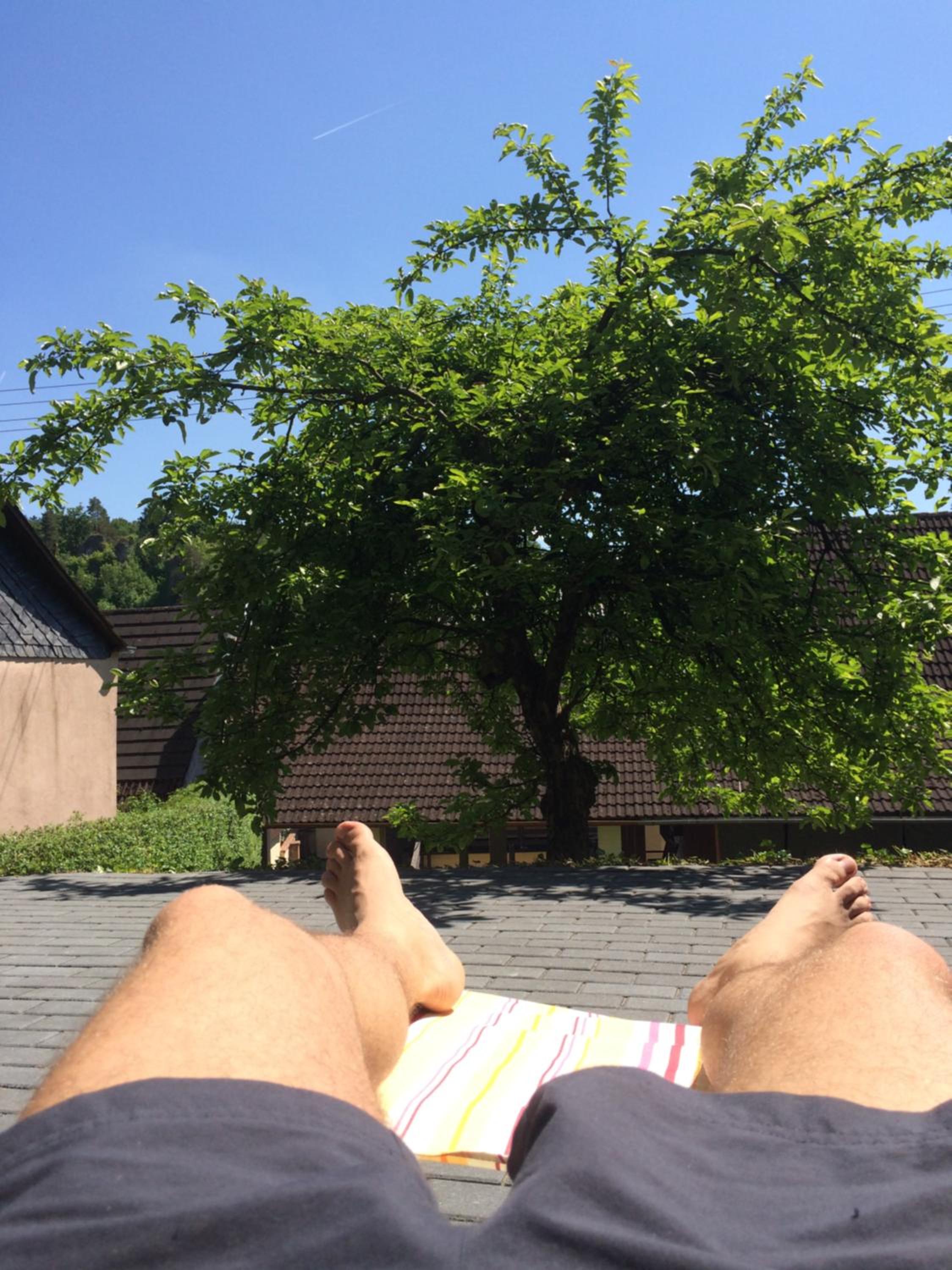 Ferienwohnung Körber