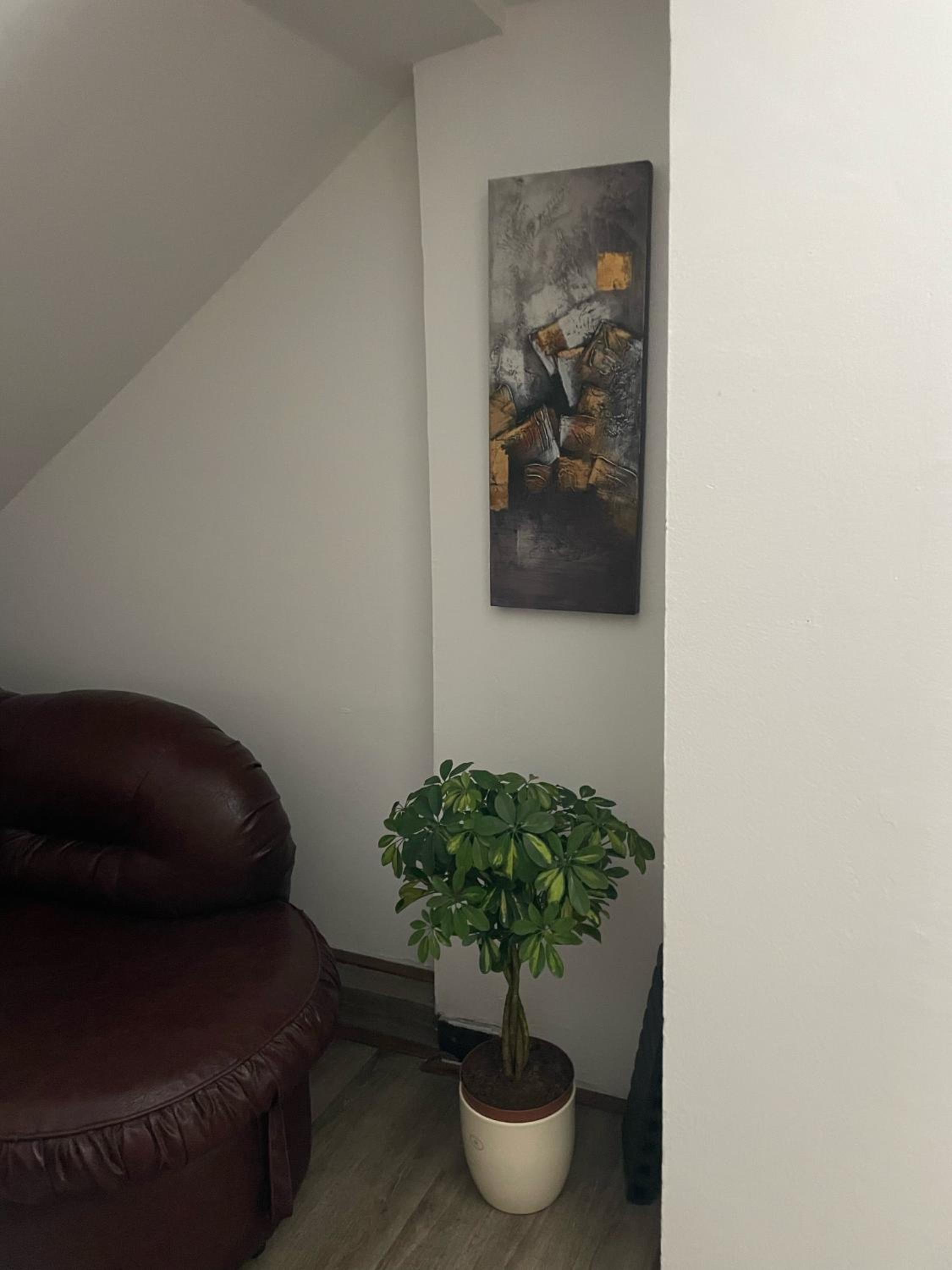 Delfin apartment