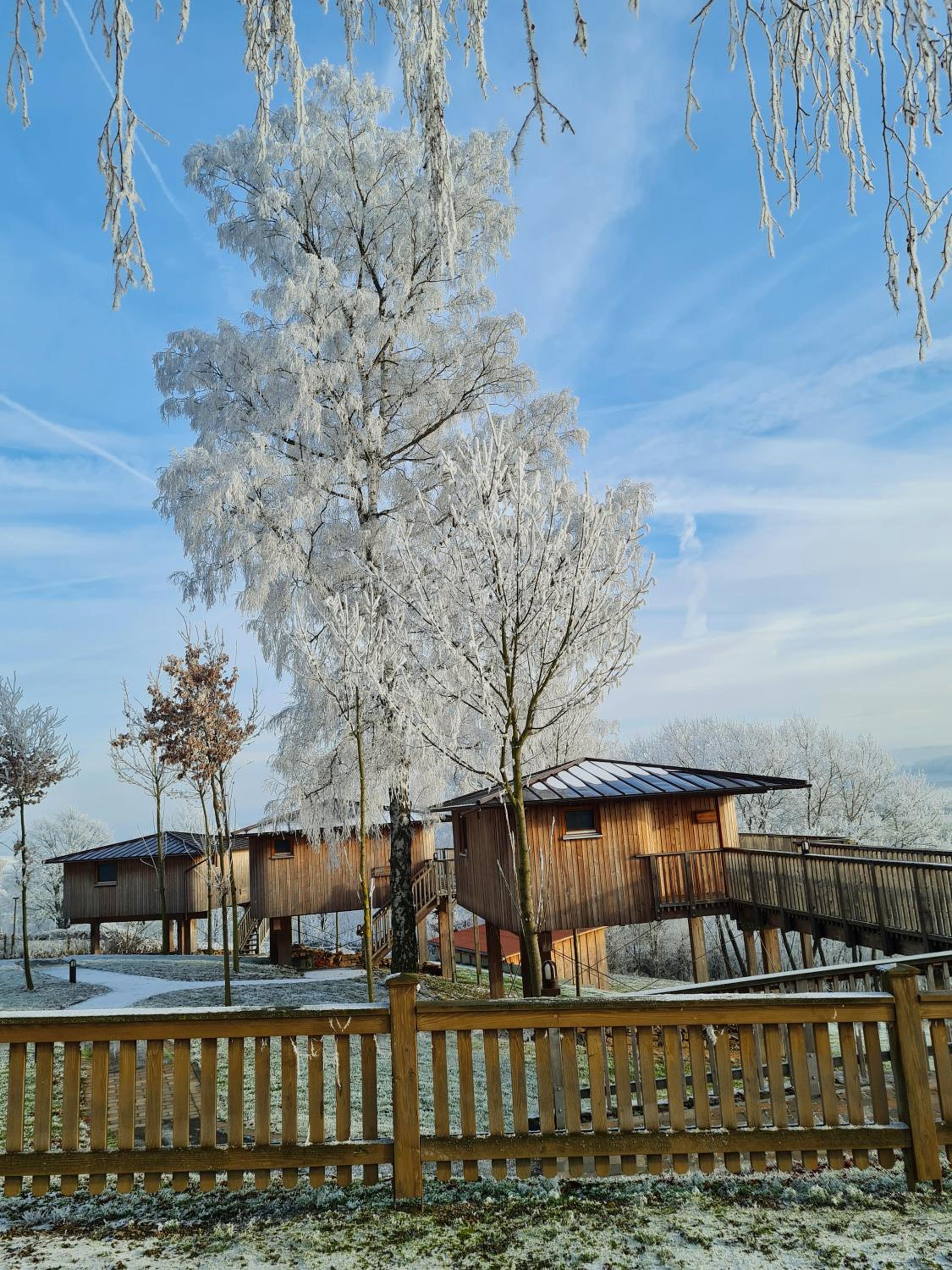 Hotel Waldquelle - Baumhaushotel Aerzen - Property Image 111