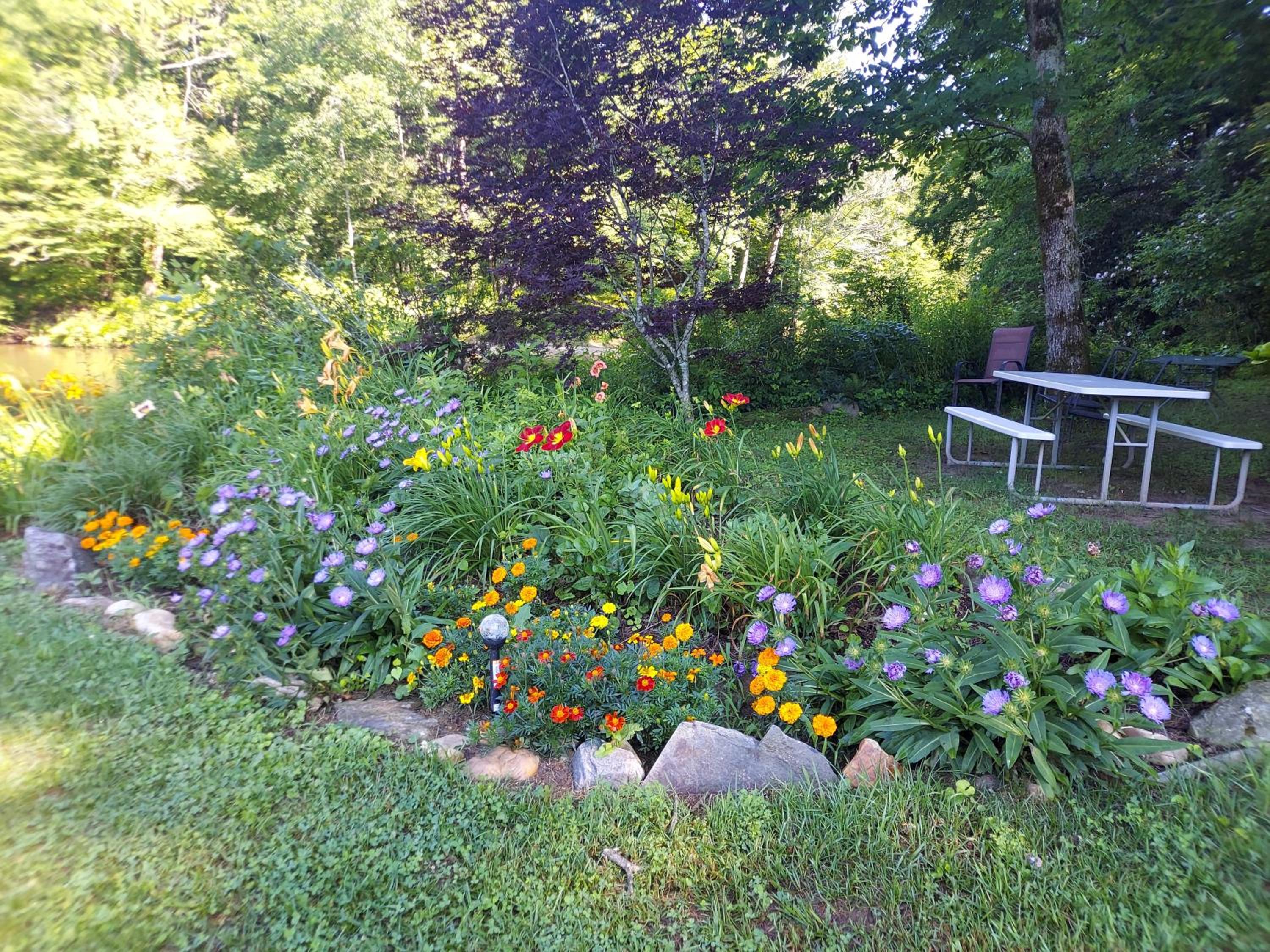 Photo 19