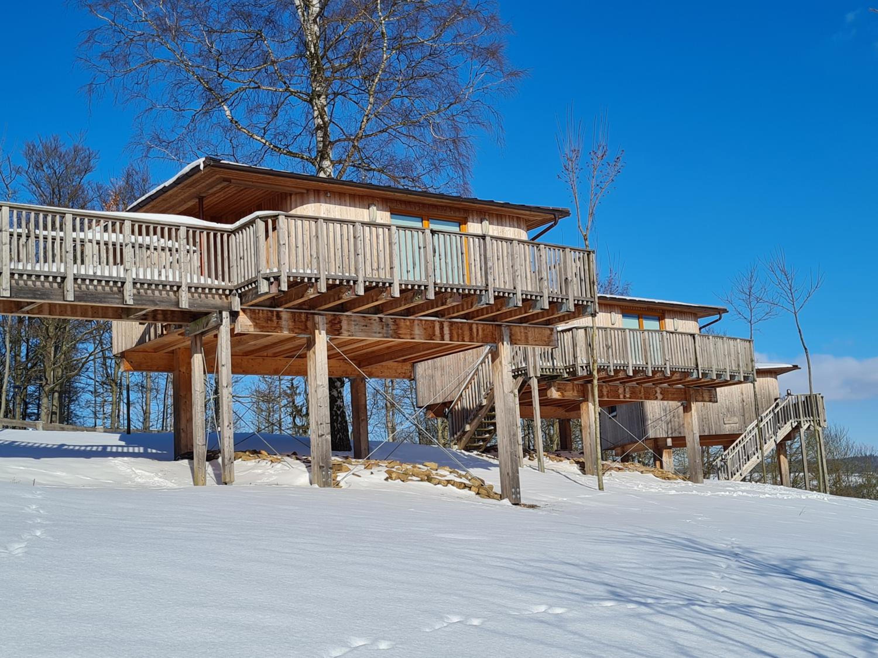 Hotel Waldquelle - Baumhaushotel Aerzen - Property Image 149