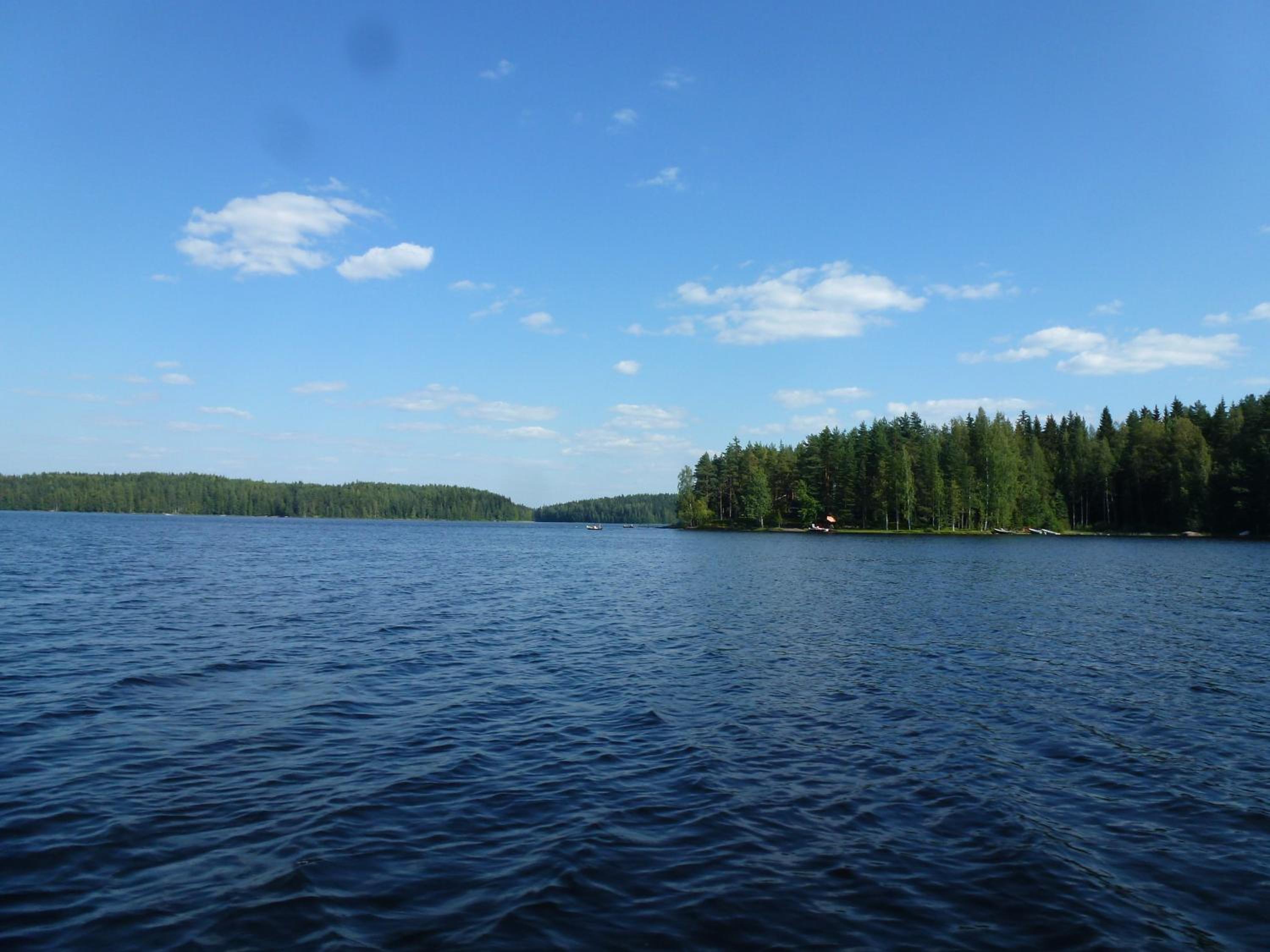 Photo 31