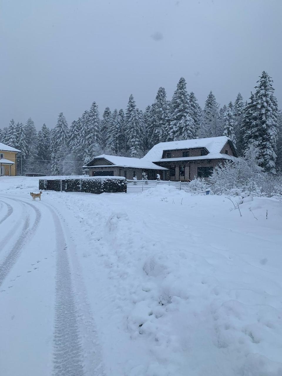 LYNX HOUSE