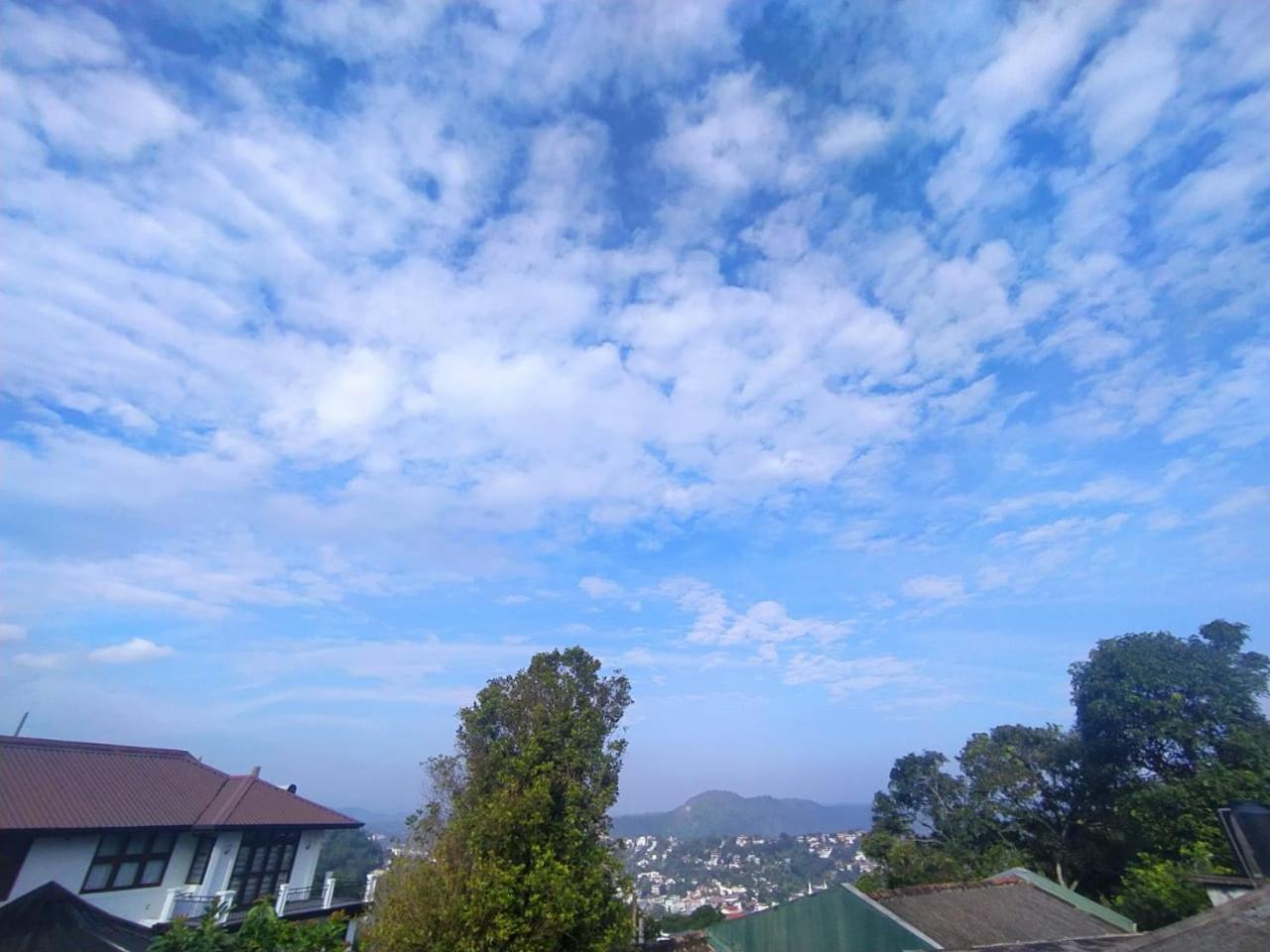 Zuni`s Home Stay view 5