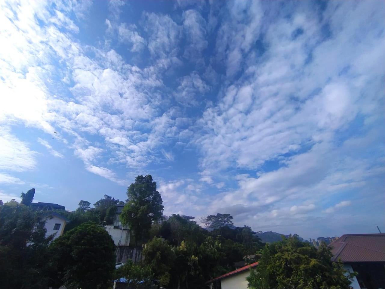 Zuni`s Home Stay view 4