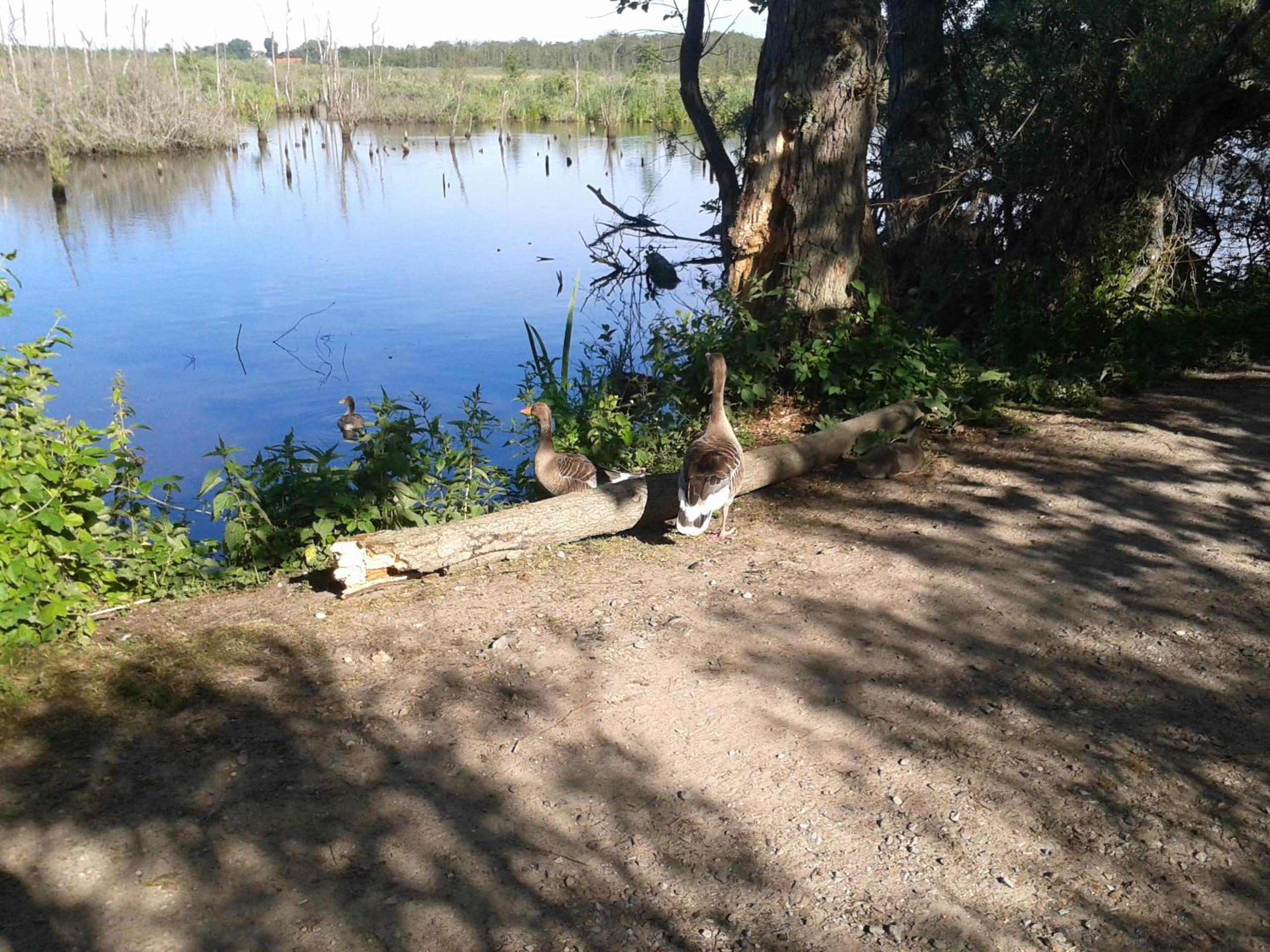 Photo 24