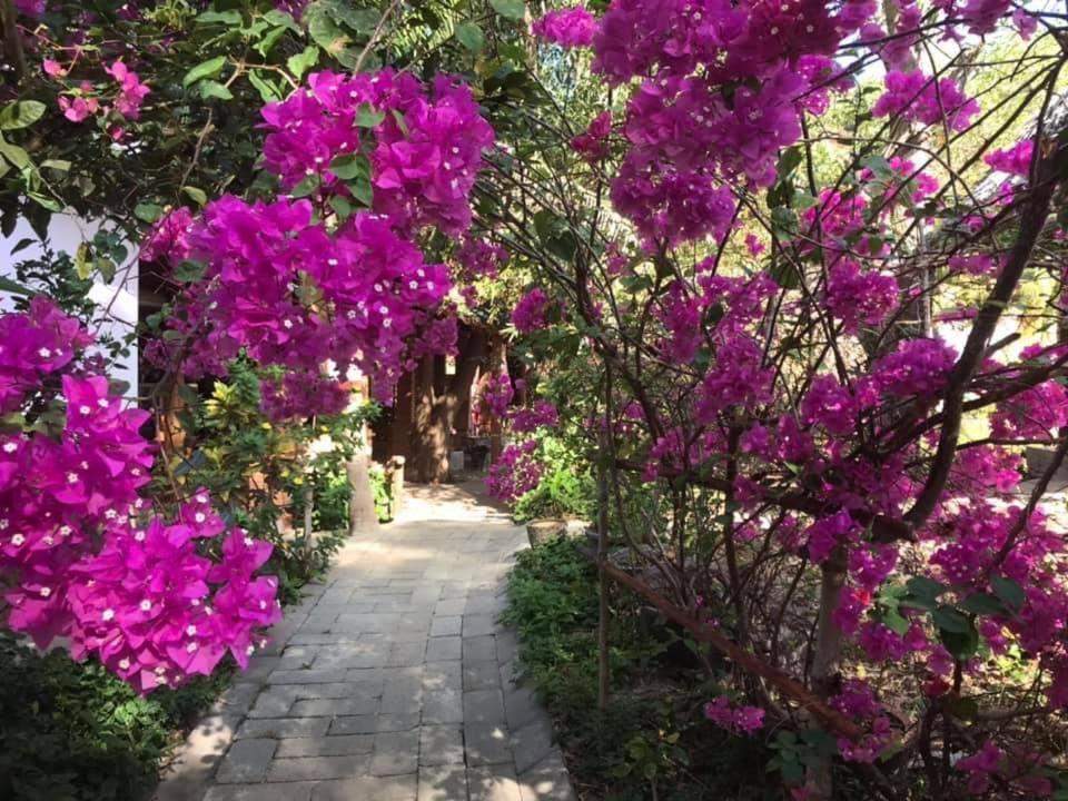 Vita Garden Homestay