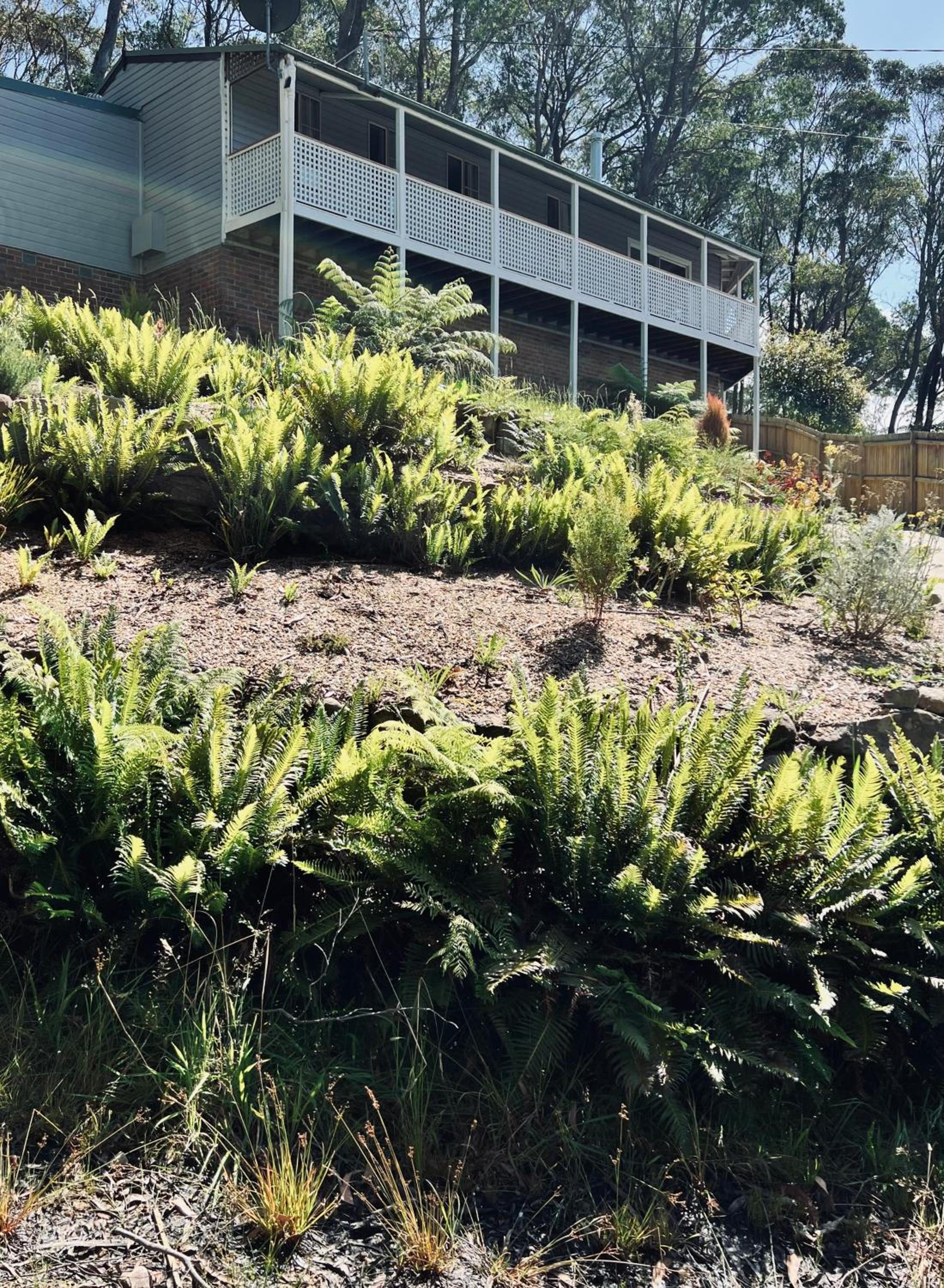 Hotel Katoomba Hideaway - Blue Mountains Modern Getaway - Image 1