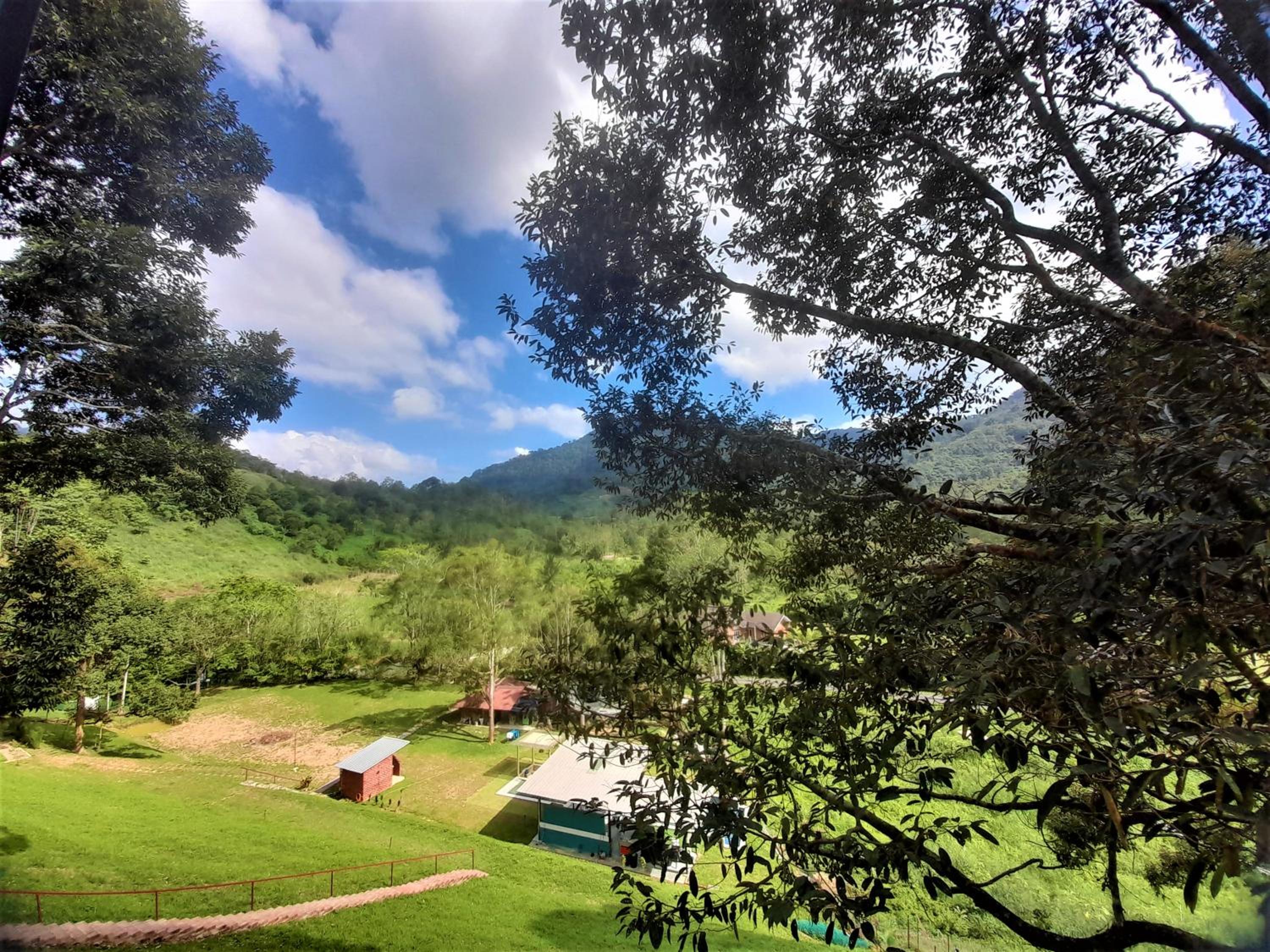 The Hill photo 8