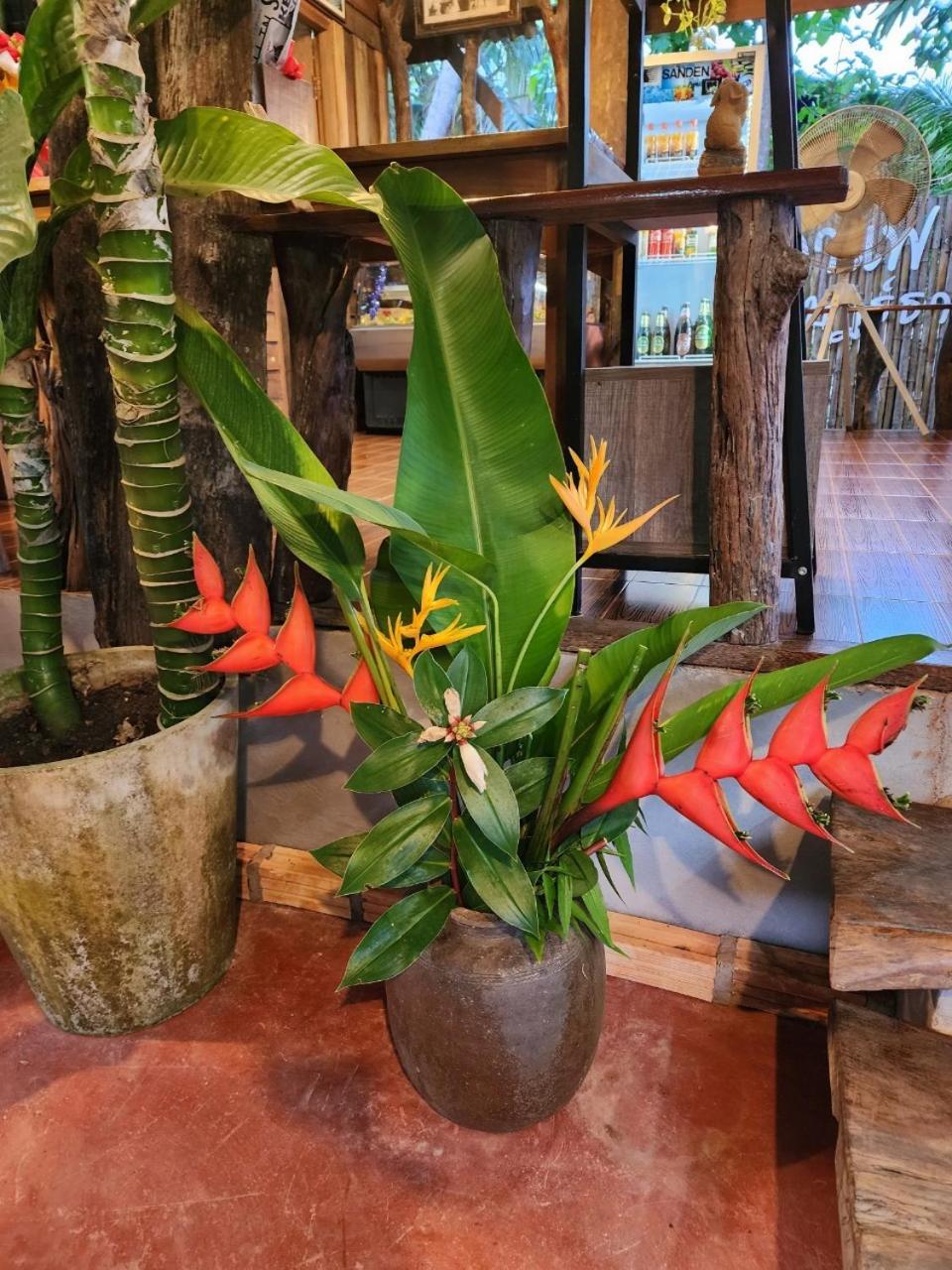 Suankafae Resort สวนกาแฟรีสอร์ท