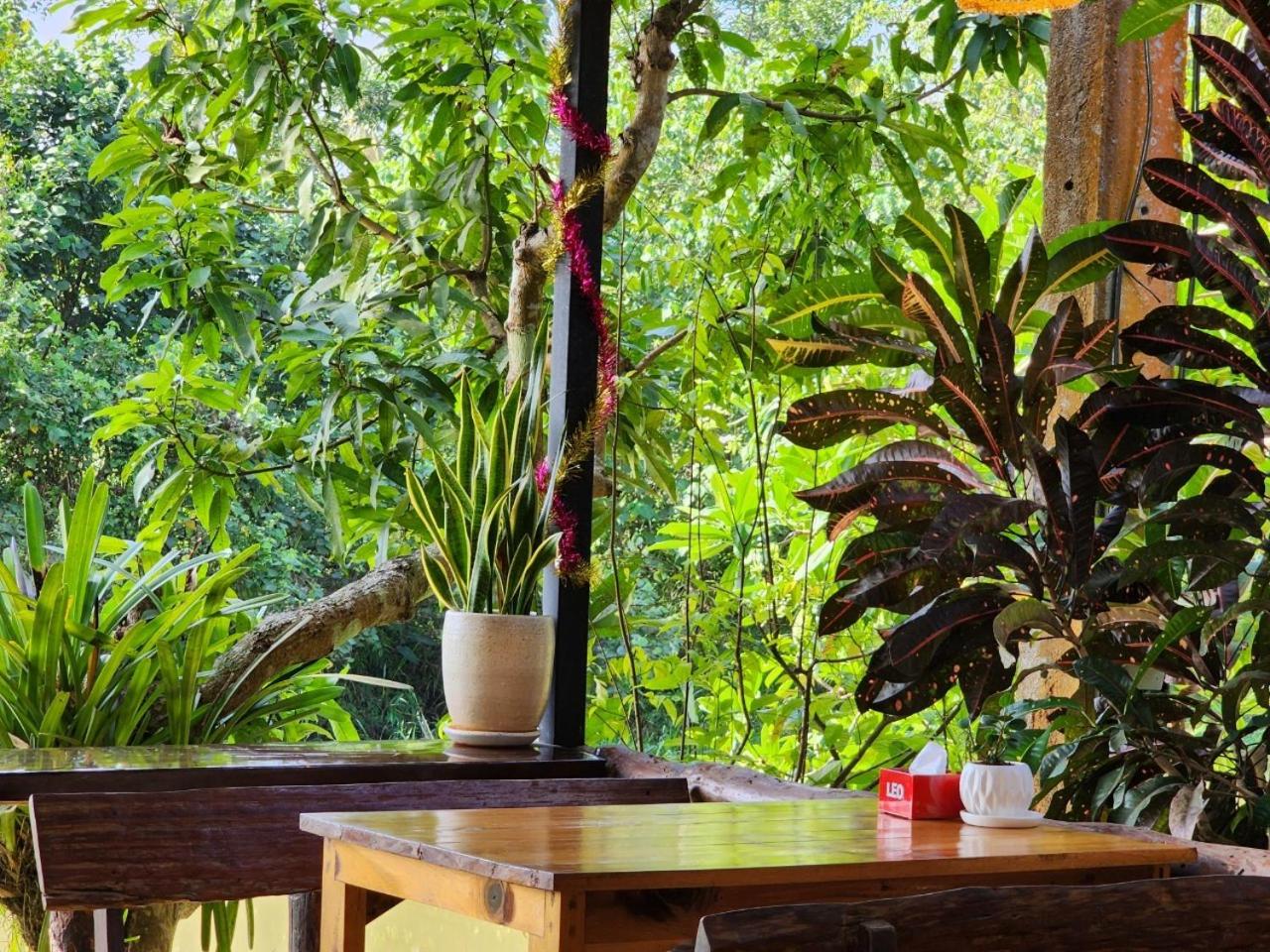 Suankafae Resort สวนกาแฟรีสอร์ท