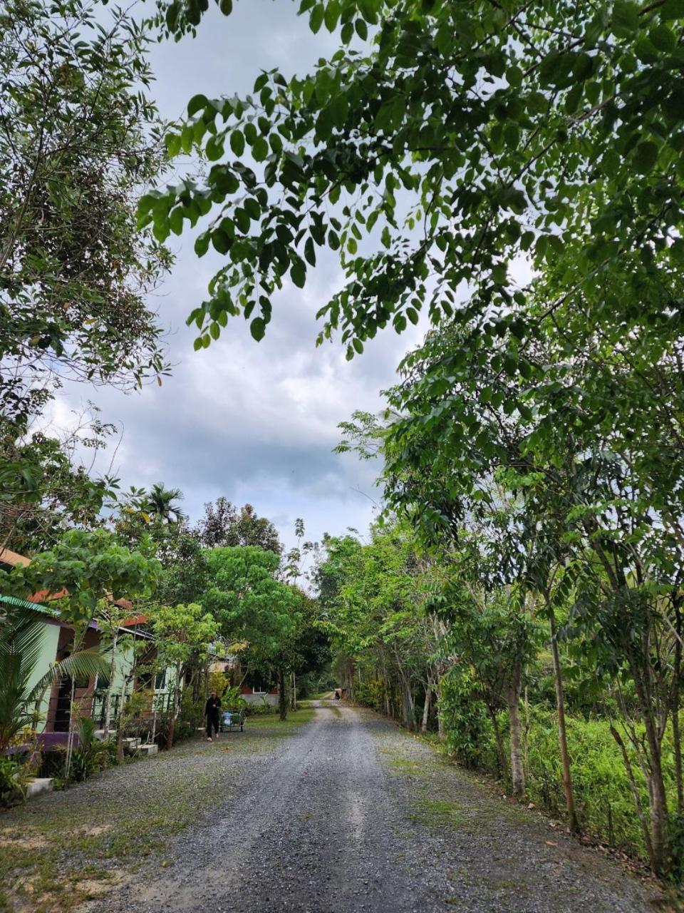 Suankafae Resort สวนกาแฟรีสอร์ท