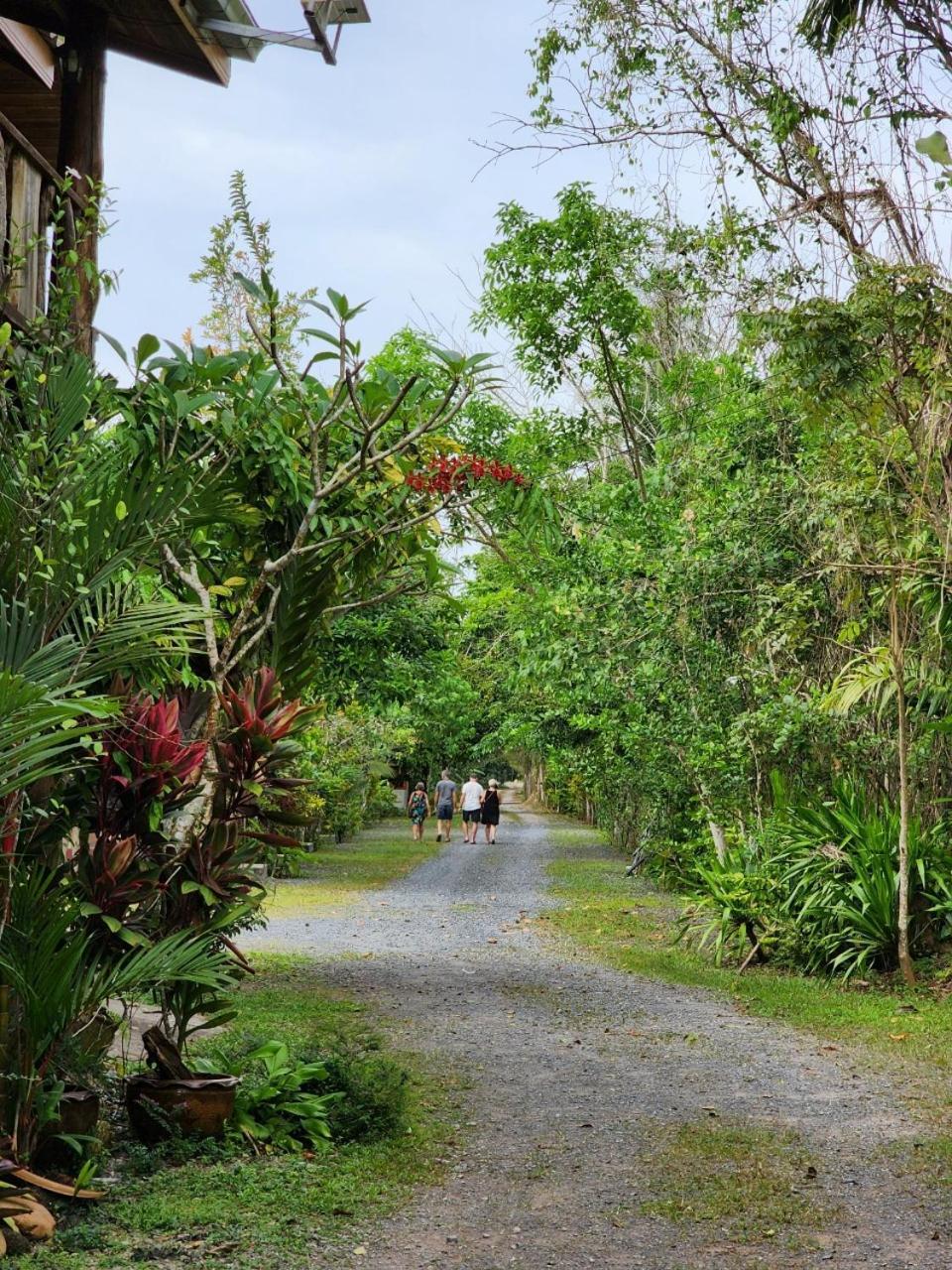 Suankafae Resort สวนกาแฟรีสอร์ท