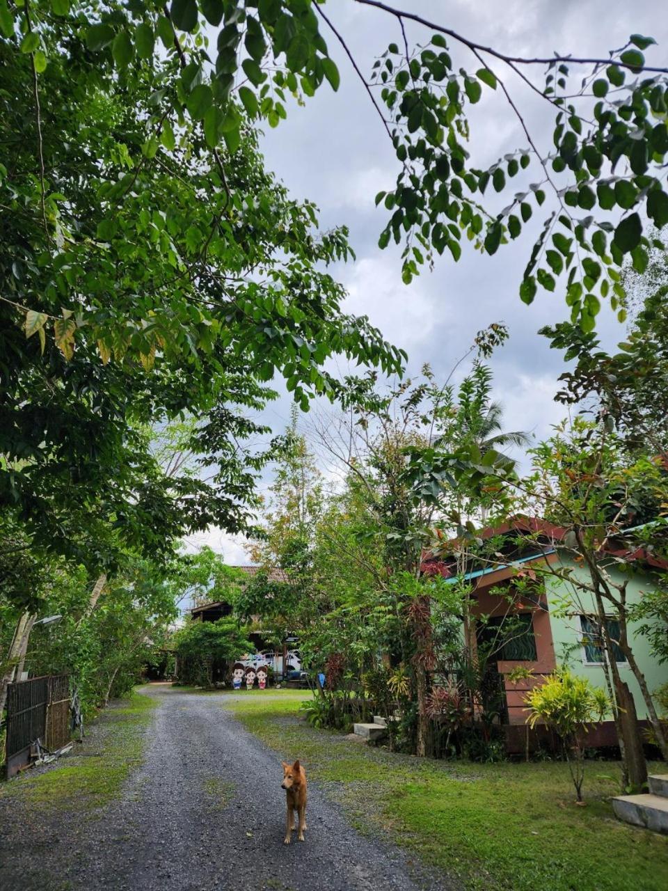 Suankafae Resort สวนกาแฟรีสอร์ท