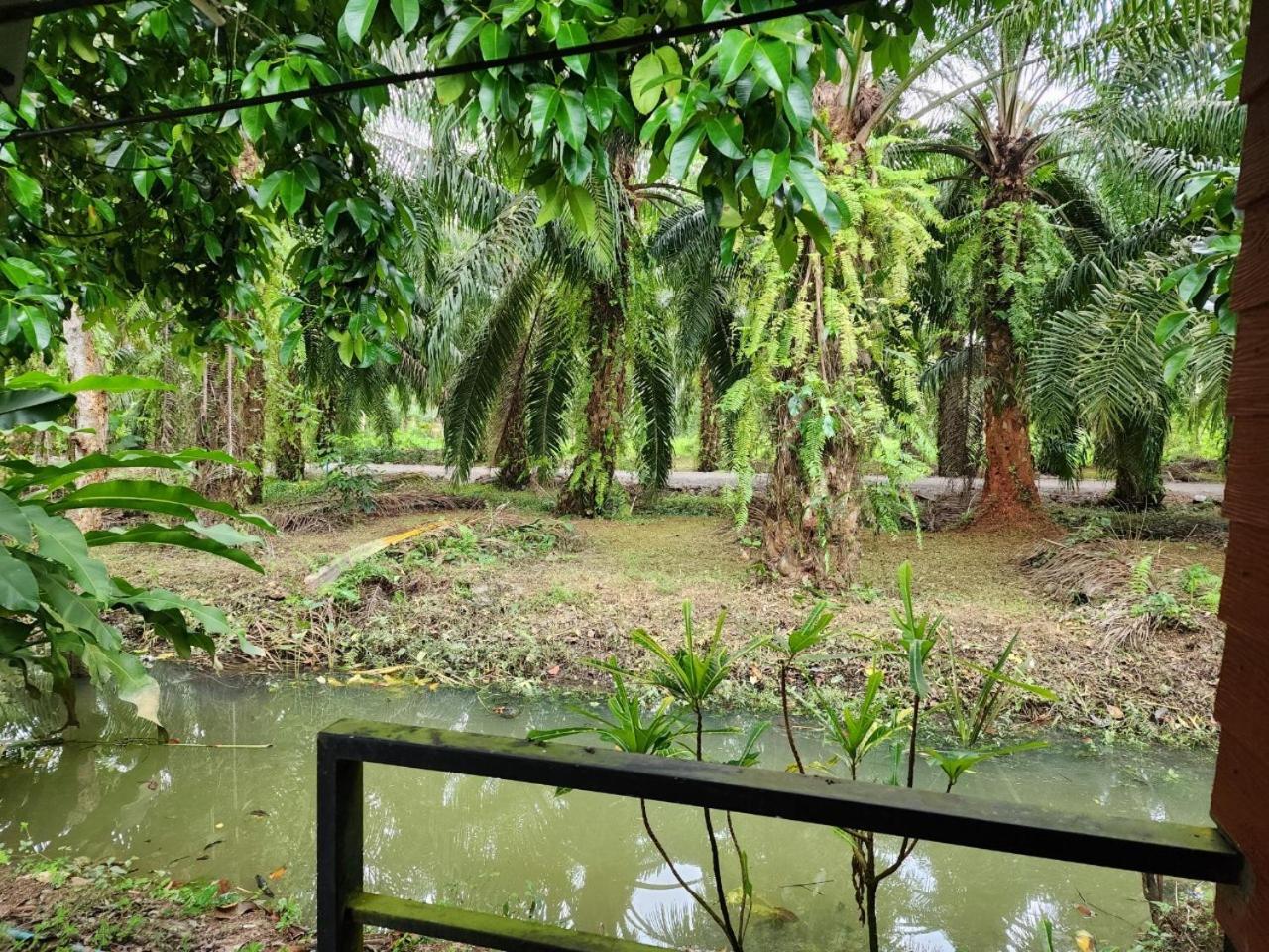 Suankafae Resort สวนกาแฟรีสอร์ท