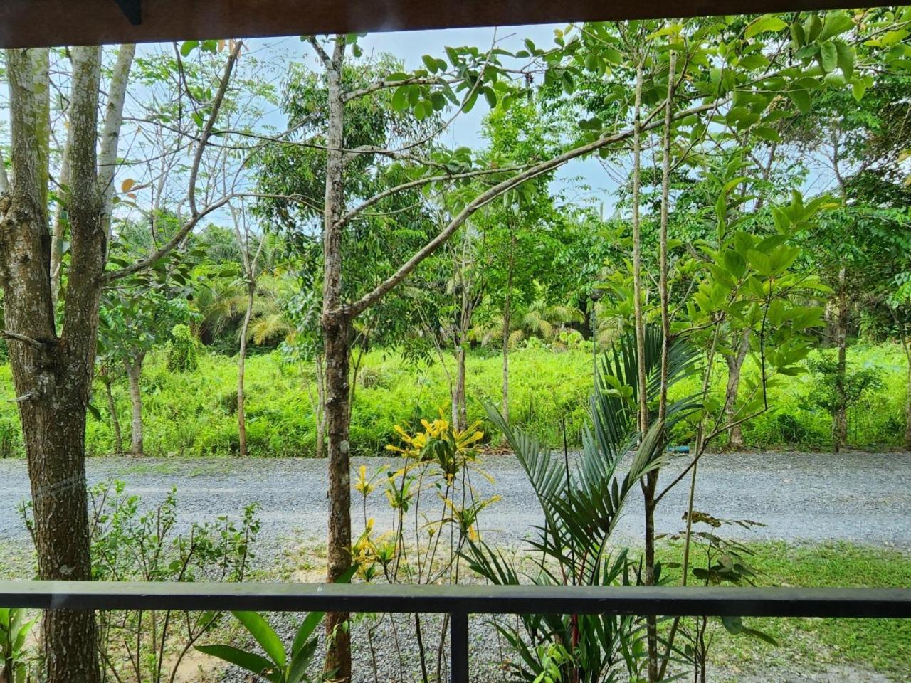 Suankafae Resort สวนกาแฟรีสอร์ท