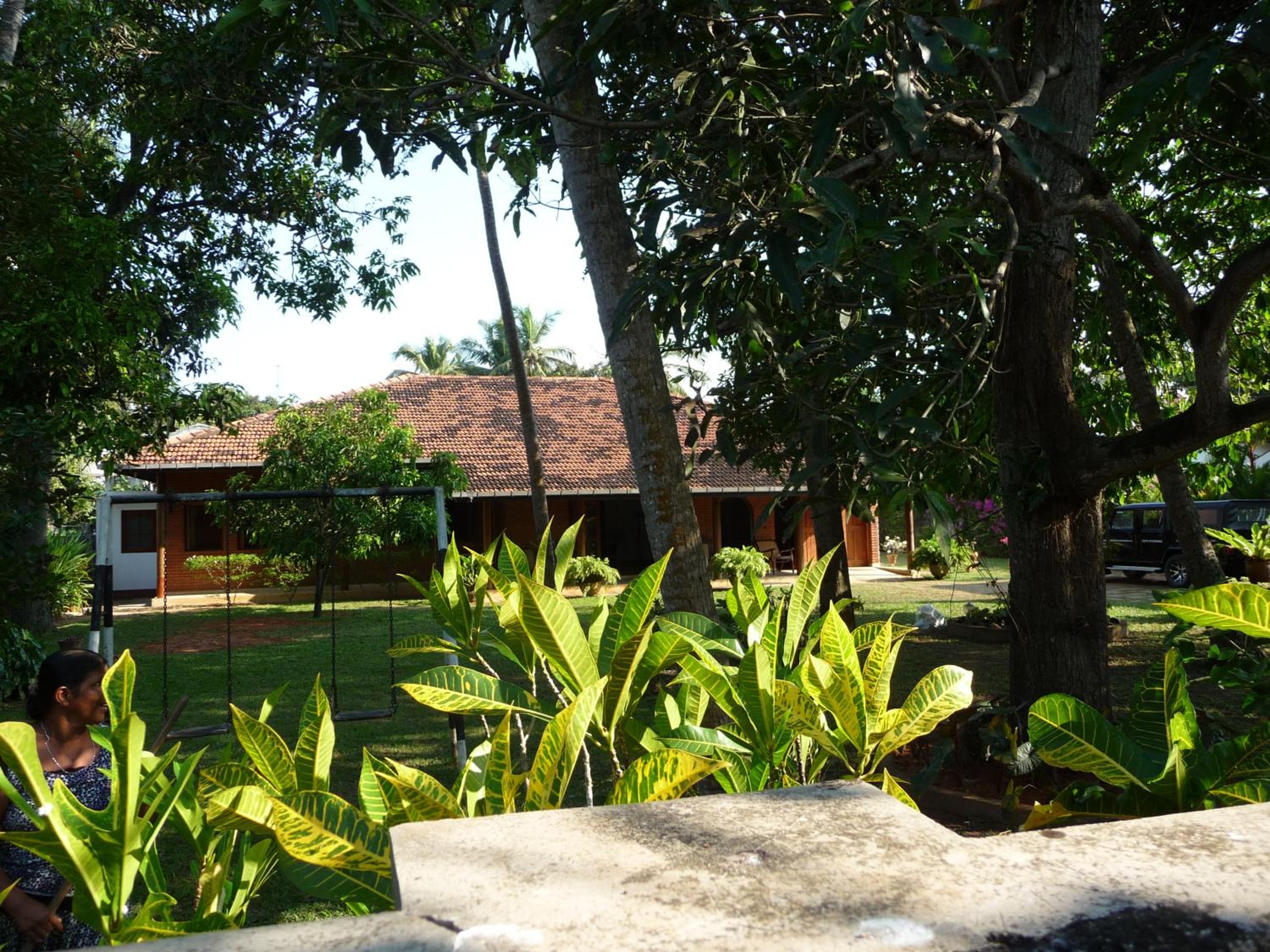 Photo 41