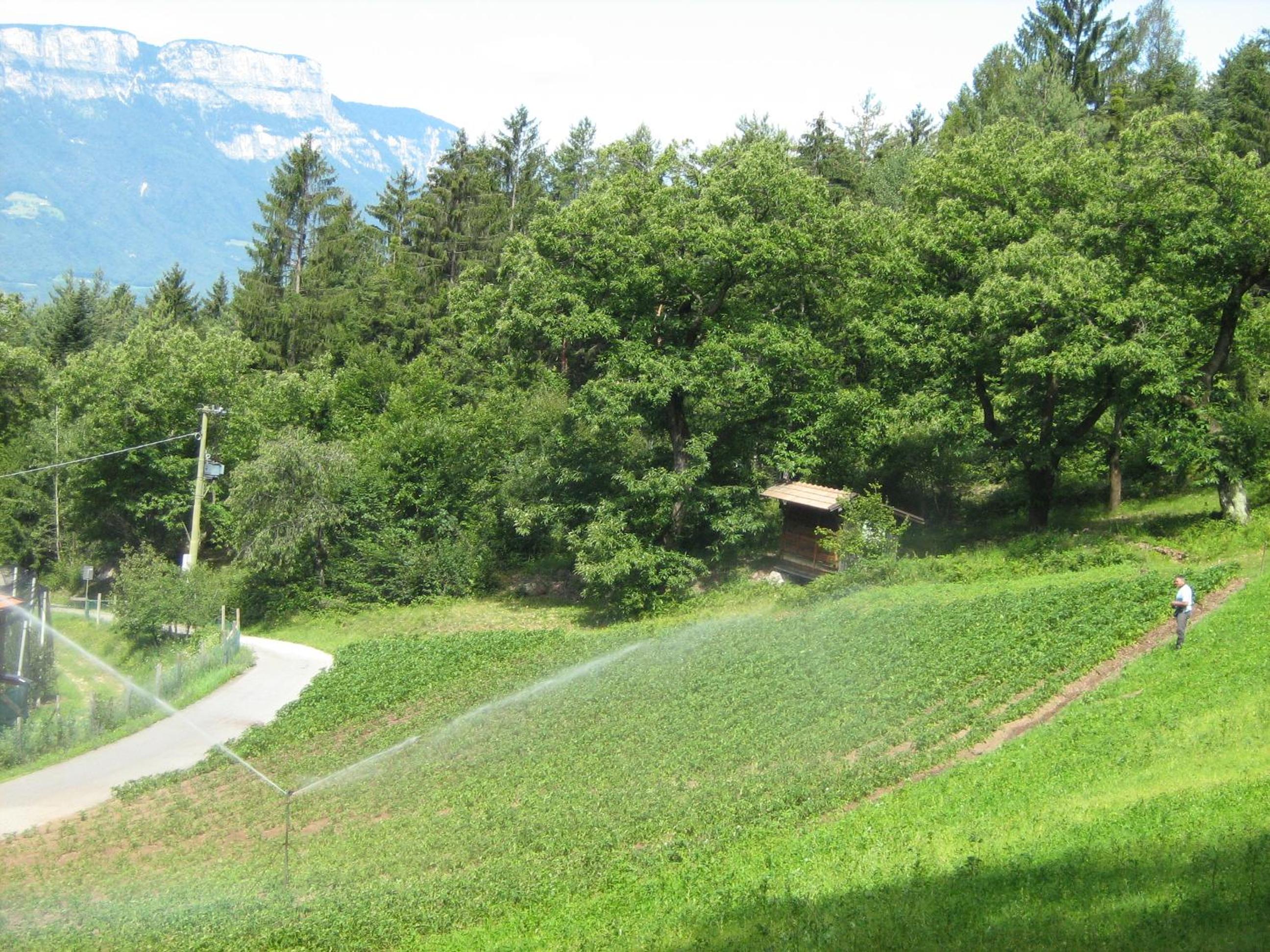 Altebnerhof