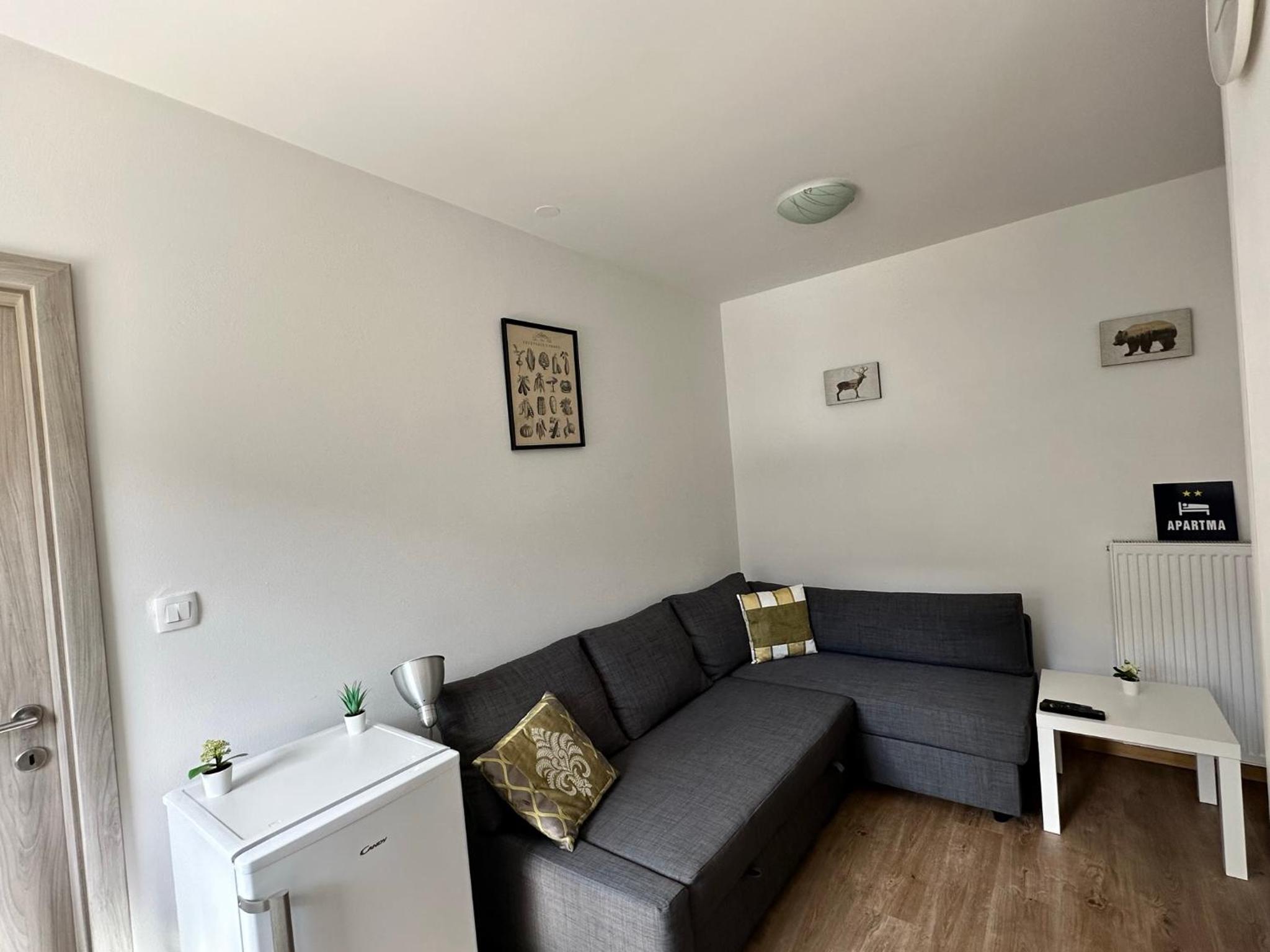 APARTMA ALMA view 5