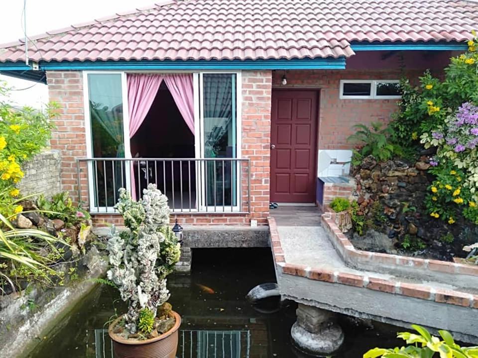 Homestay Syams view 2