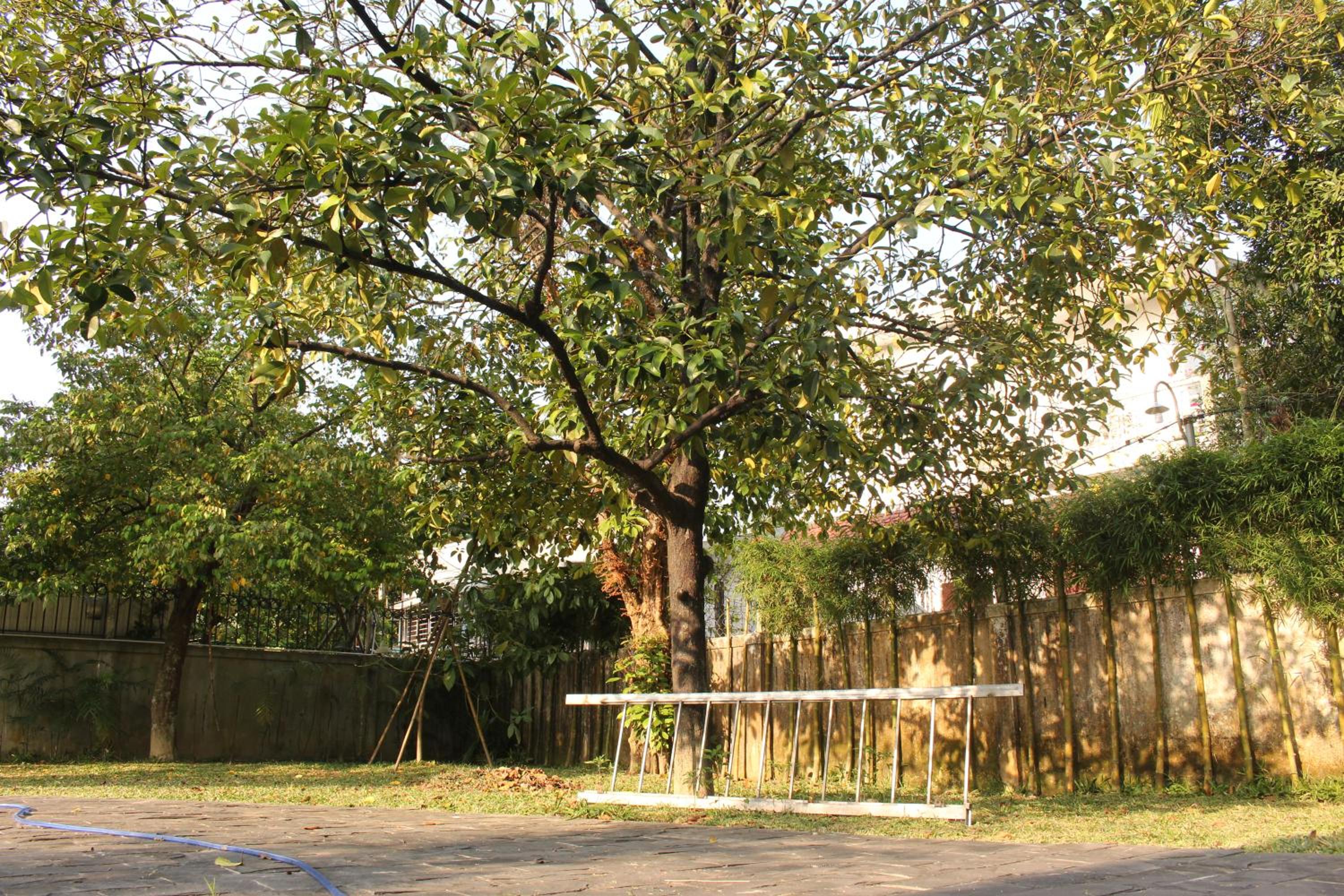 Photo 18