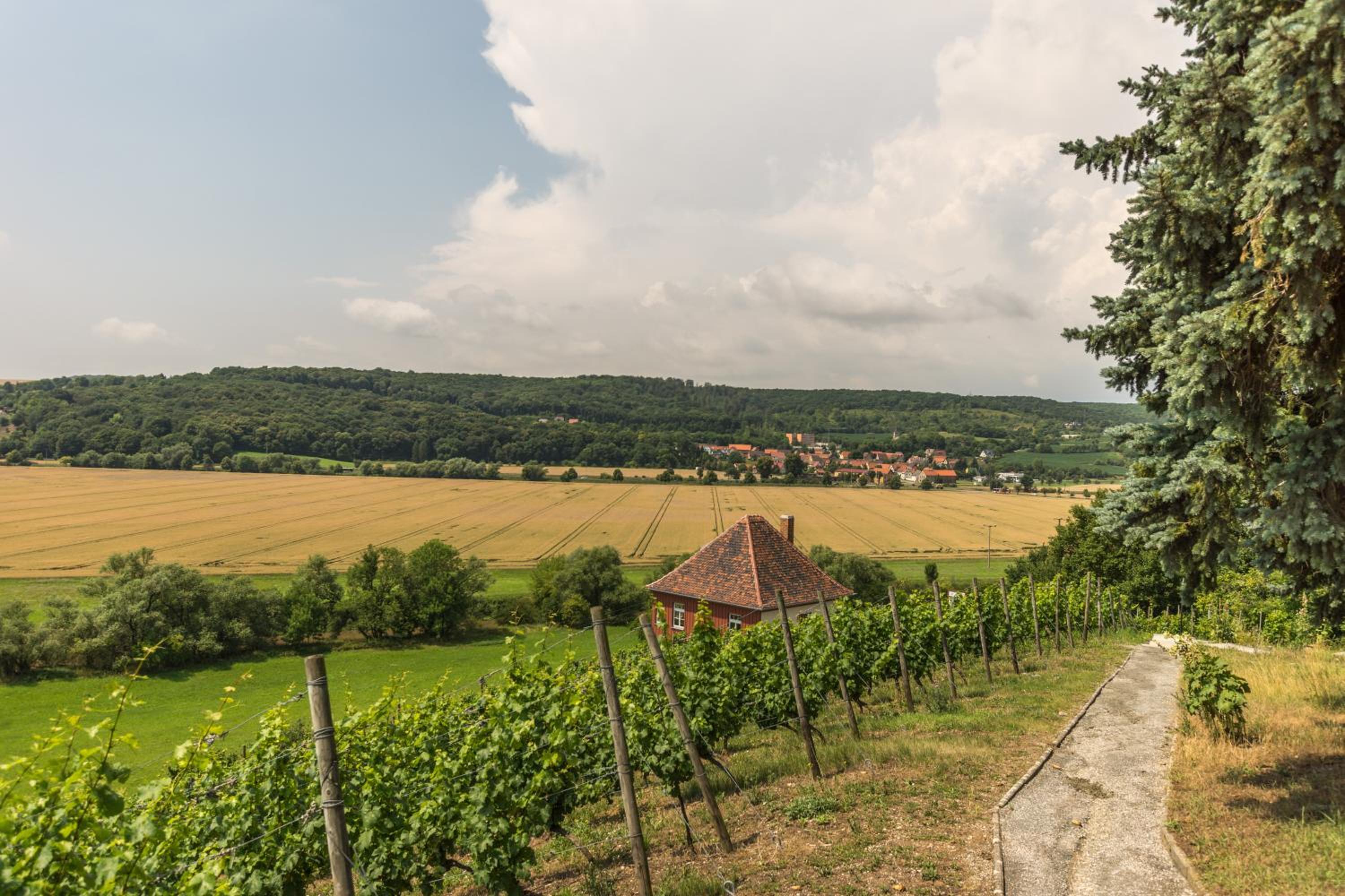 Ferienhäuser im Max-Klinger Weinberg