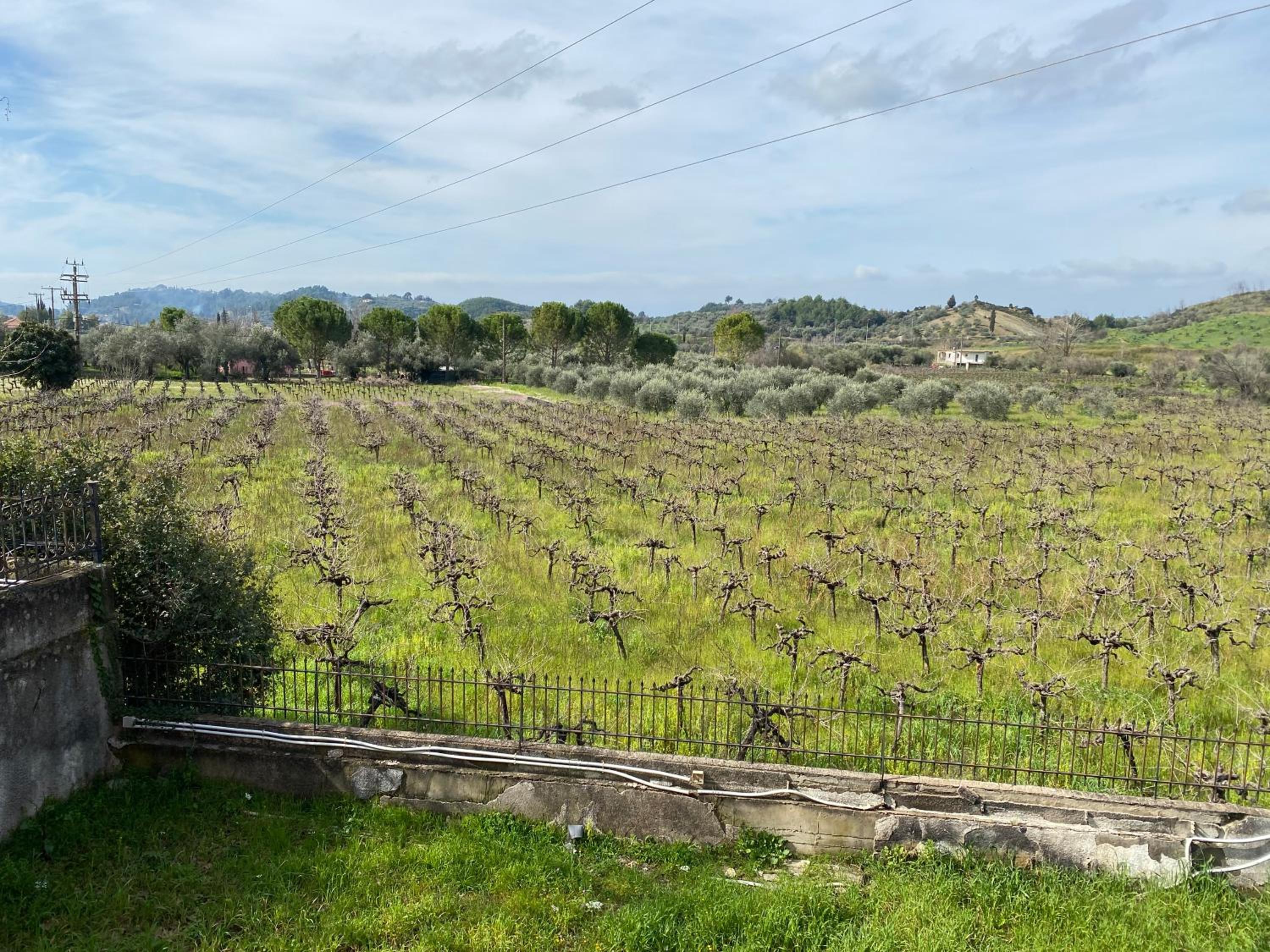 Villa Aris view 2