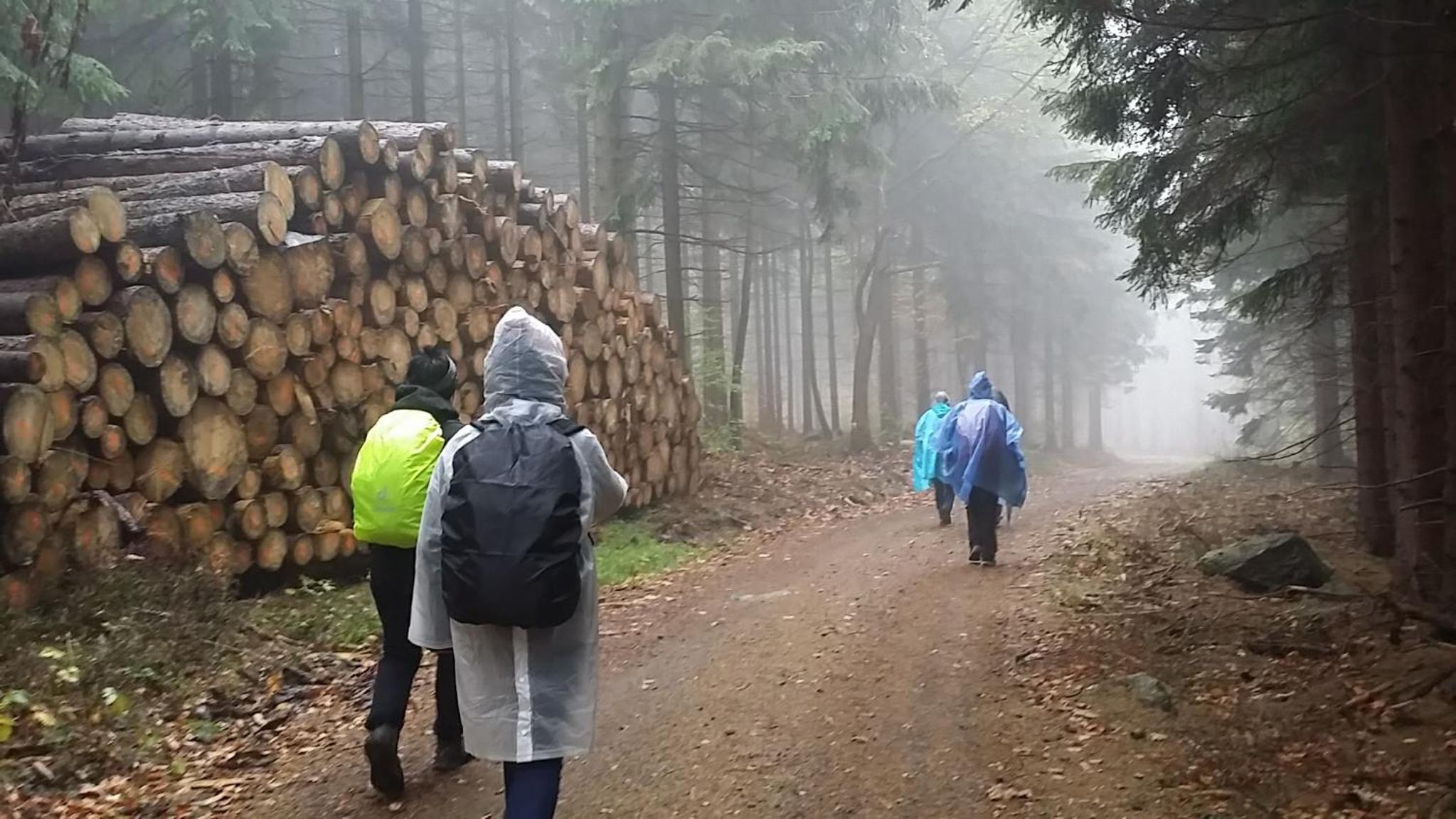 Urlaubsdomizil Am Töpfer - Ferienwohnungen in Olbersdorf
