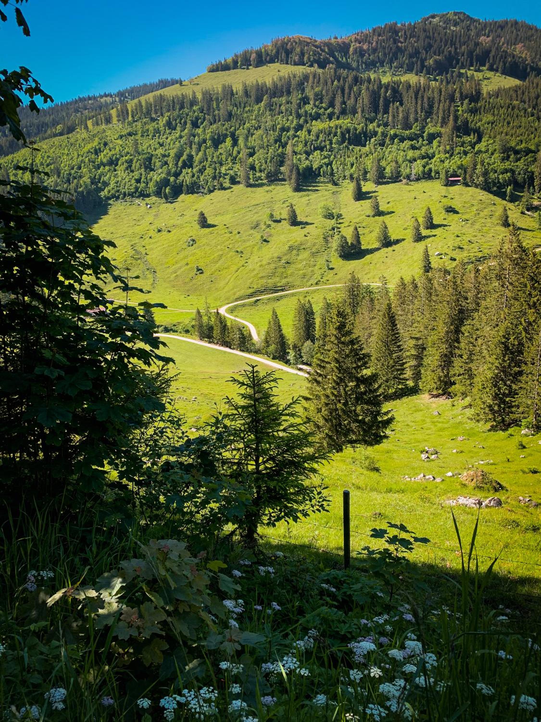 Beim Mühltaler II