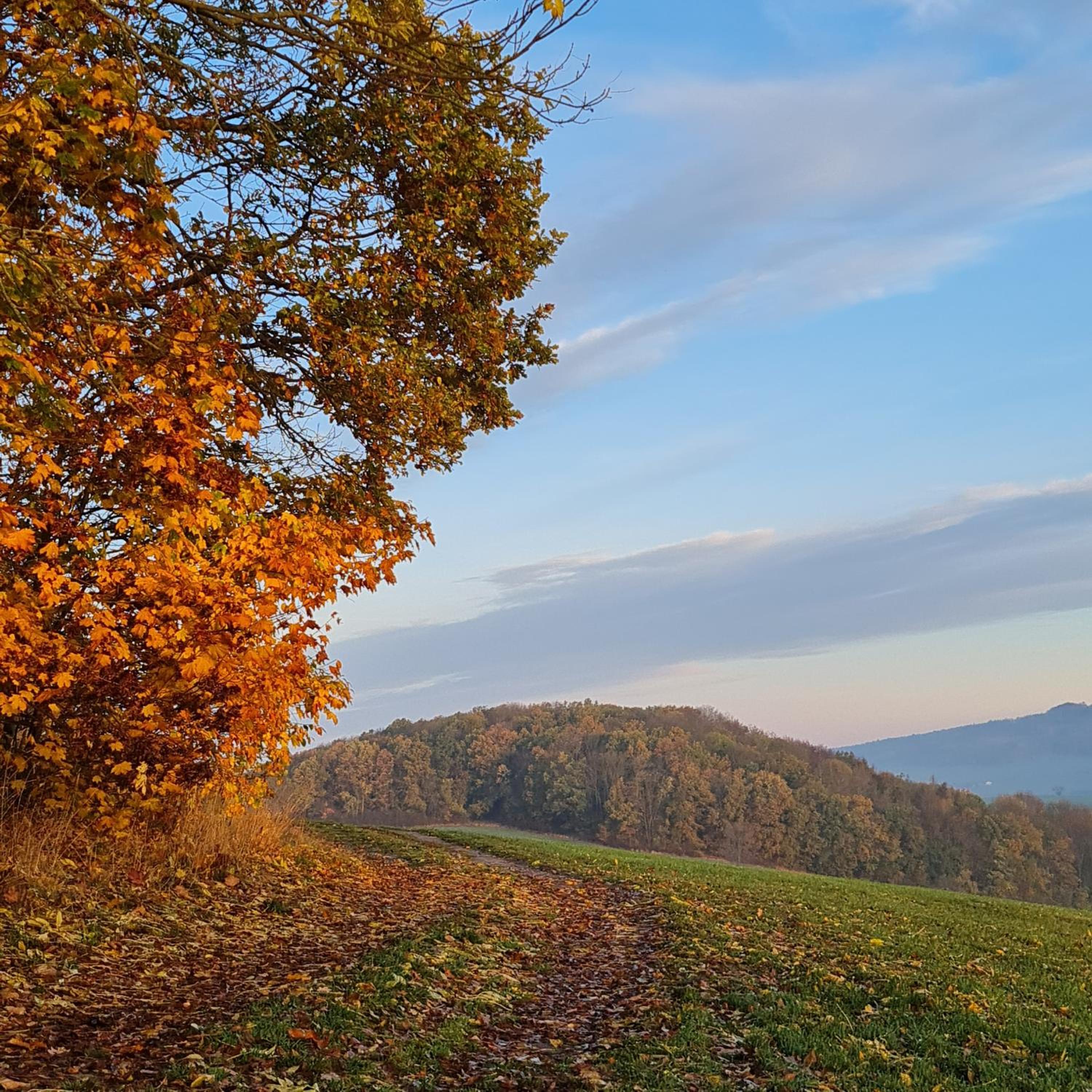 Urlaubsdomizil Am Töpfer - Ferienwohnungen in Olbersdorf