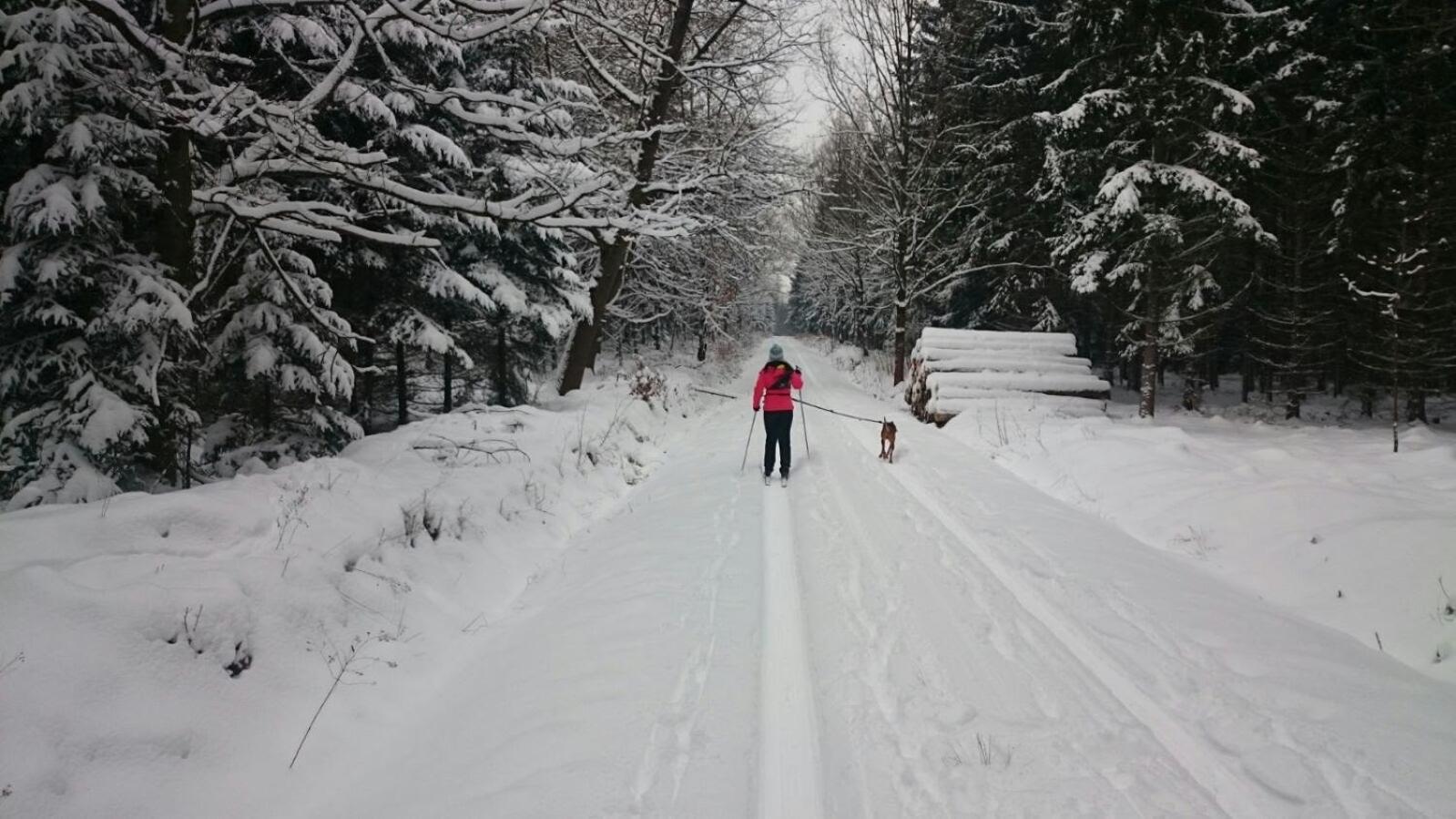 Urlaubsdomizil Am Töpfer - Ferienwohnungen in Olbersdorf