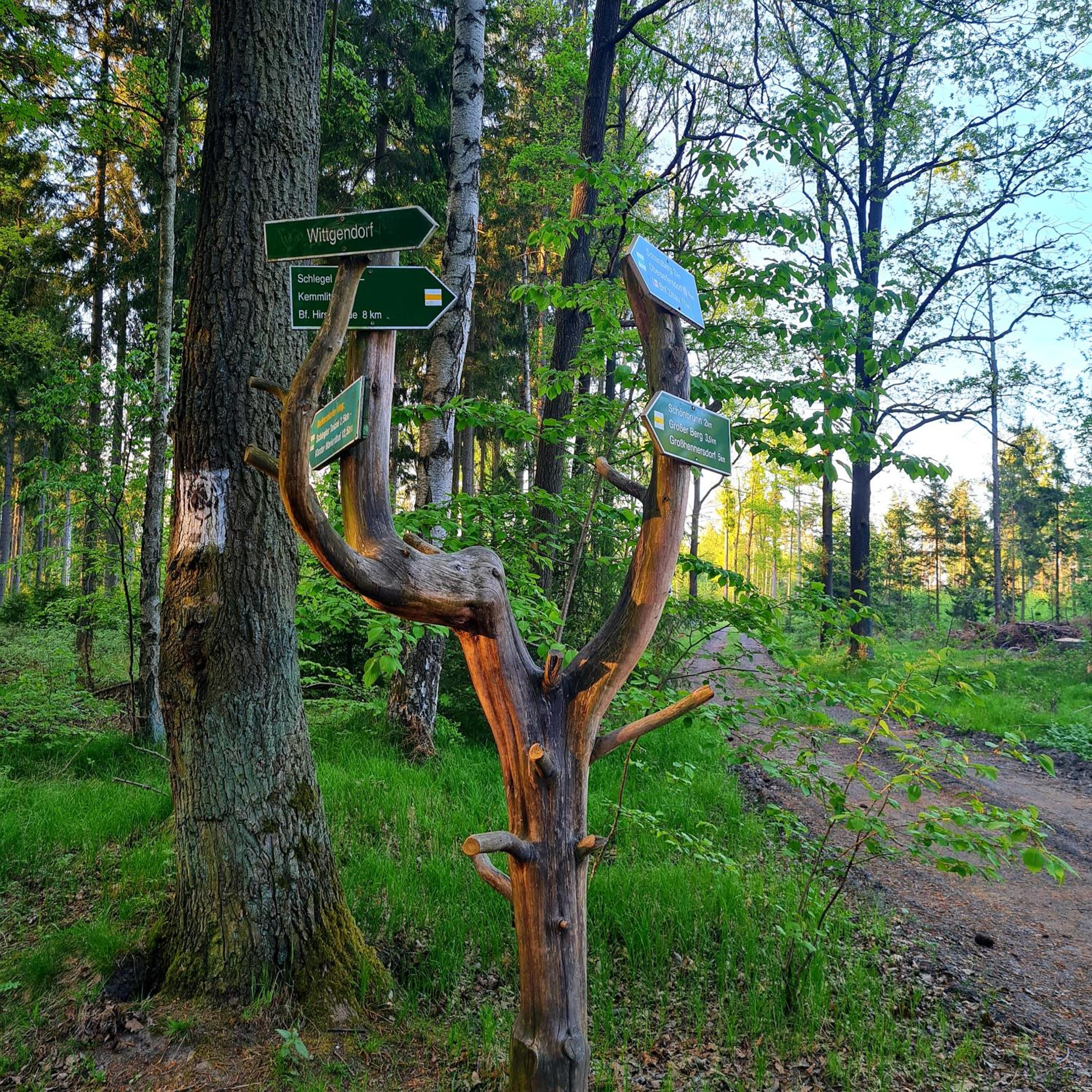 Urlaubsdomizil Am Töpfer - Ferienwohnungen in Olbersdorf
